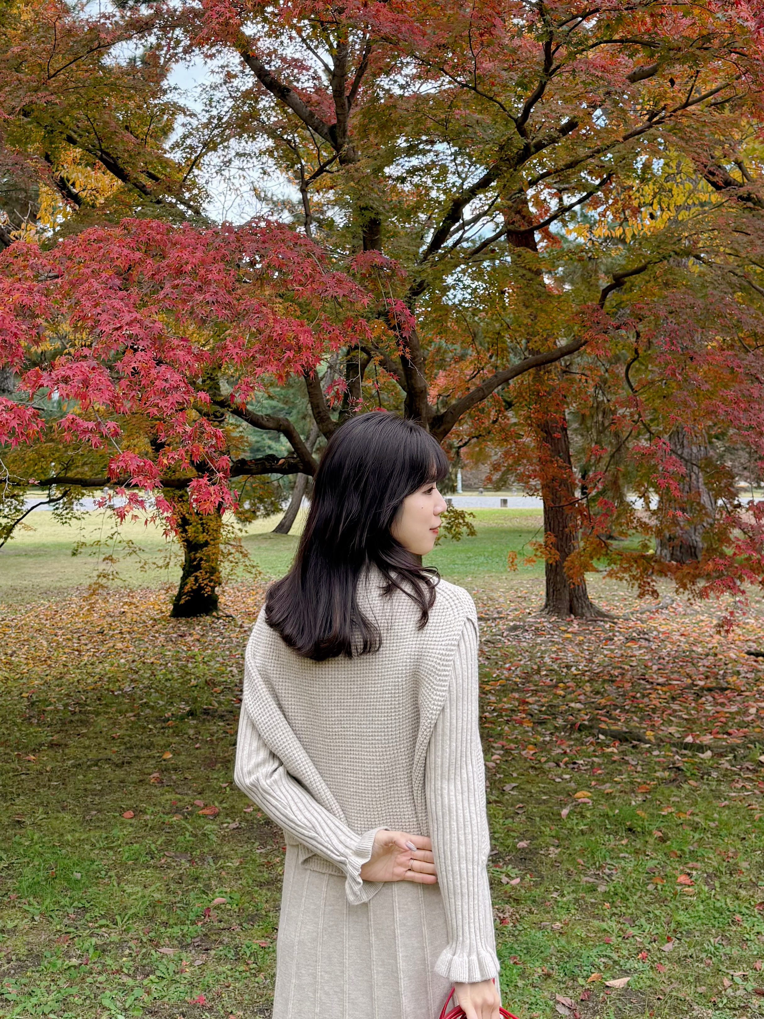 珍珠斗篷針織及膝連身裙