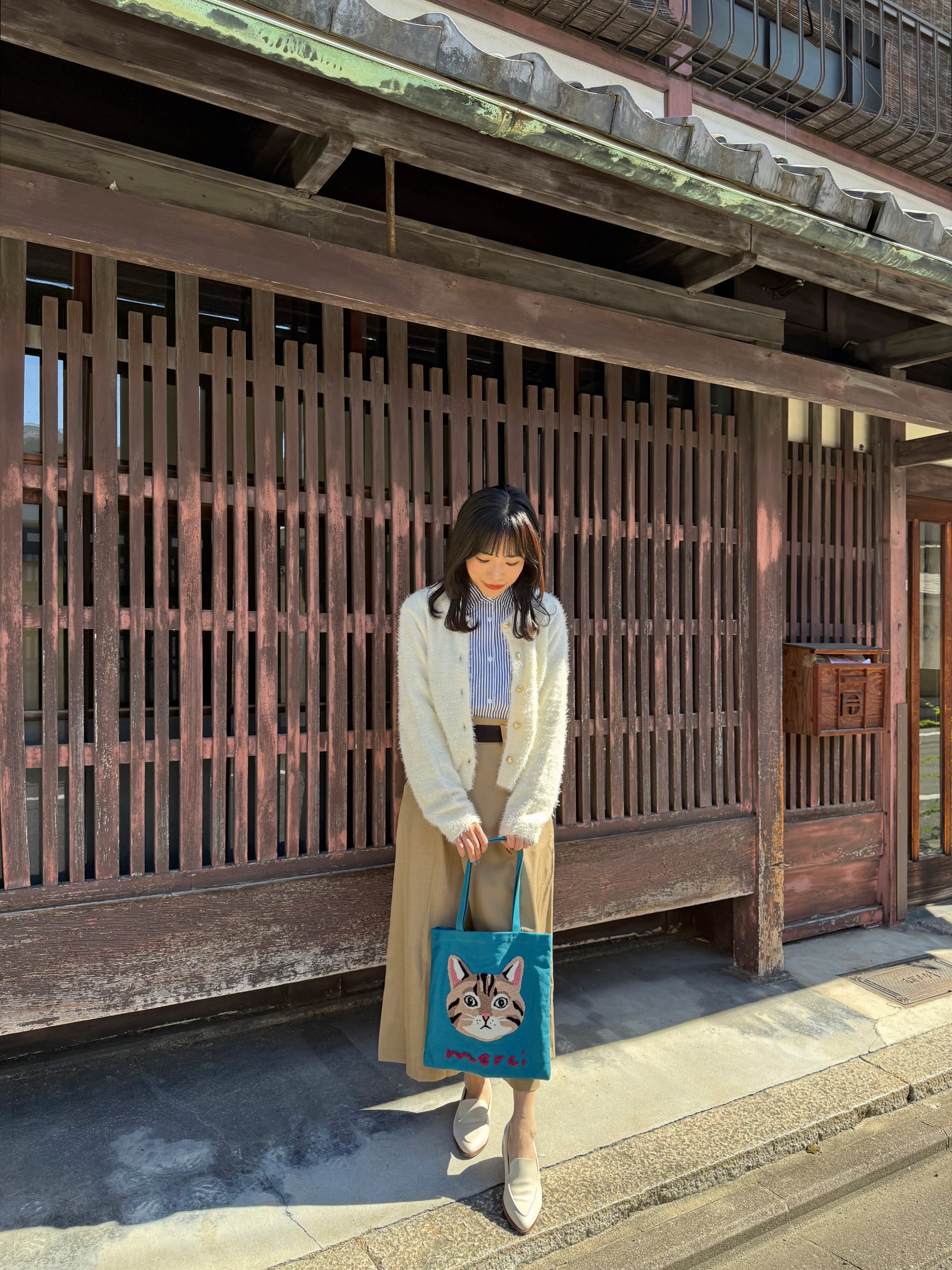 立體貓貓帆布袋