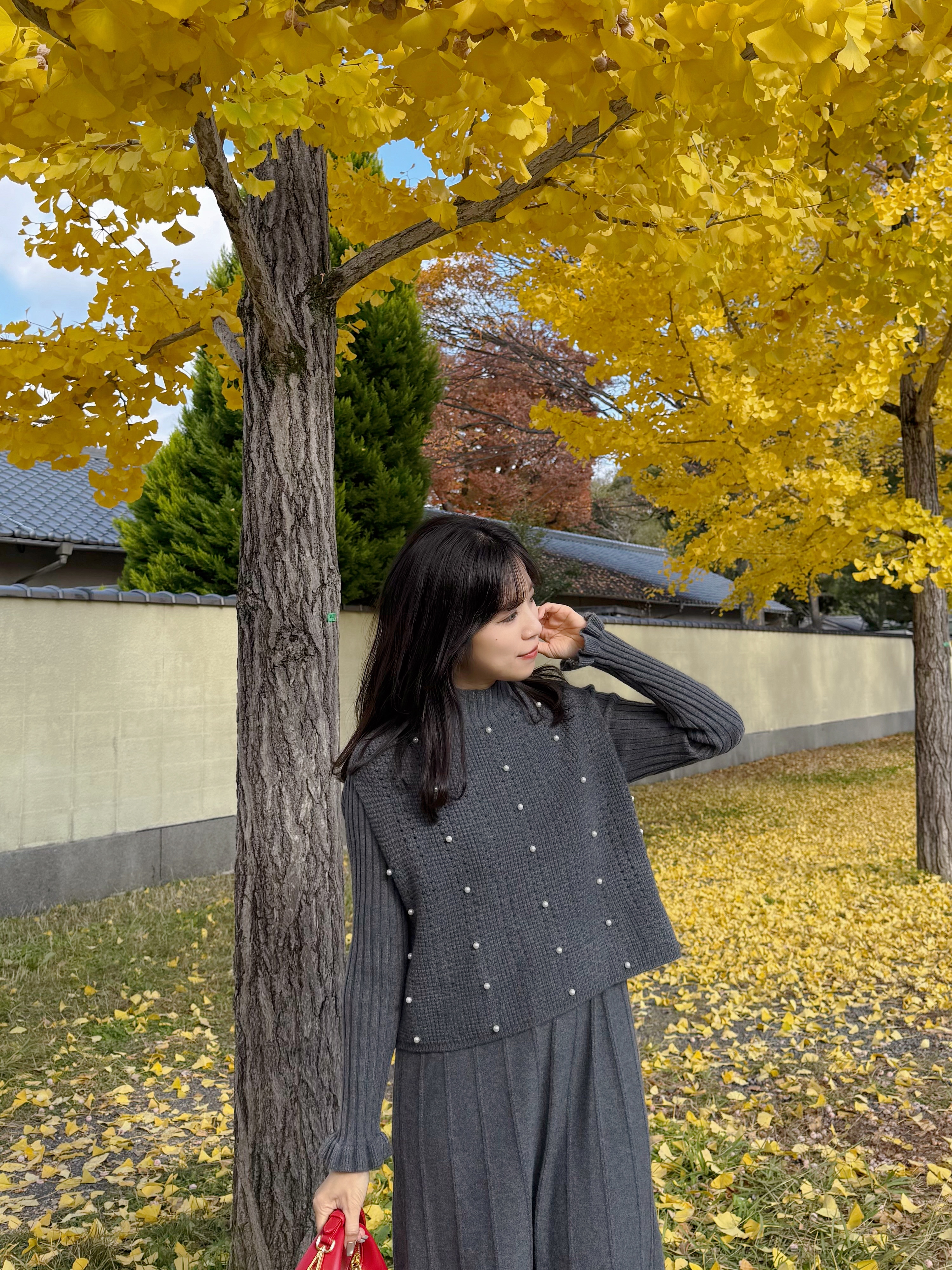 2色•珍珠斗篷針織及膝連身裙