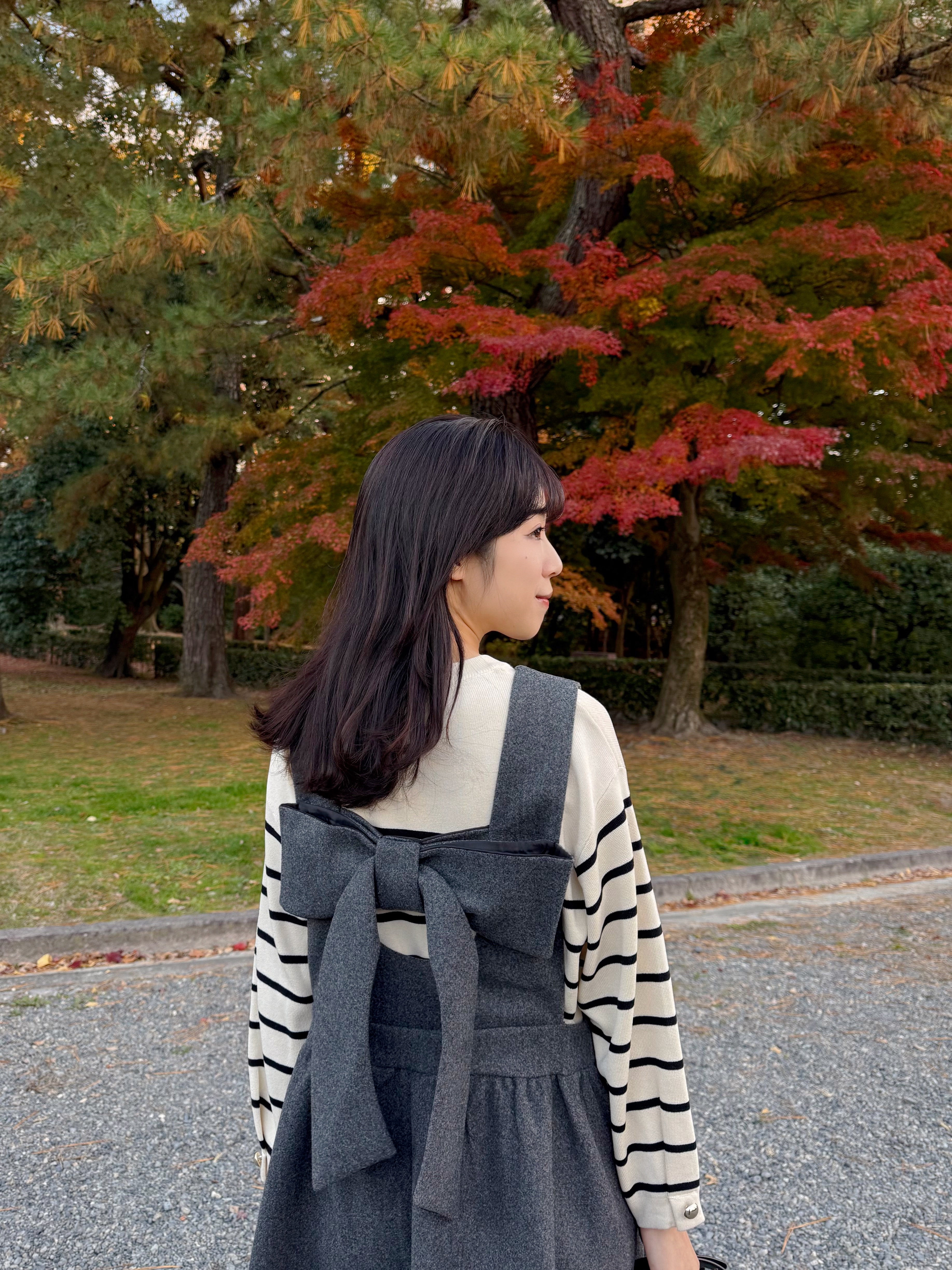 2色•2Way前後蝴蝶結薄絨連身裙