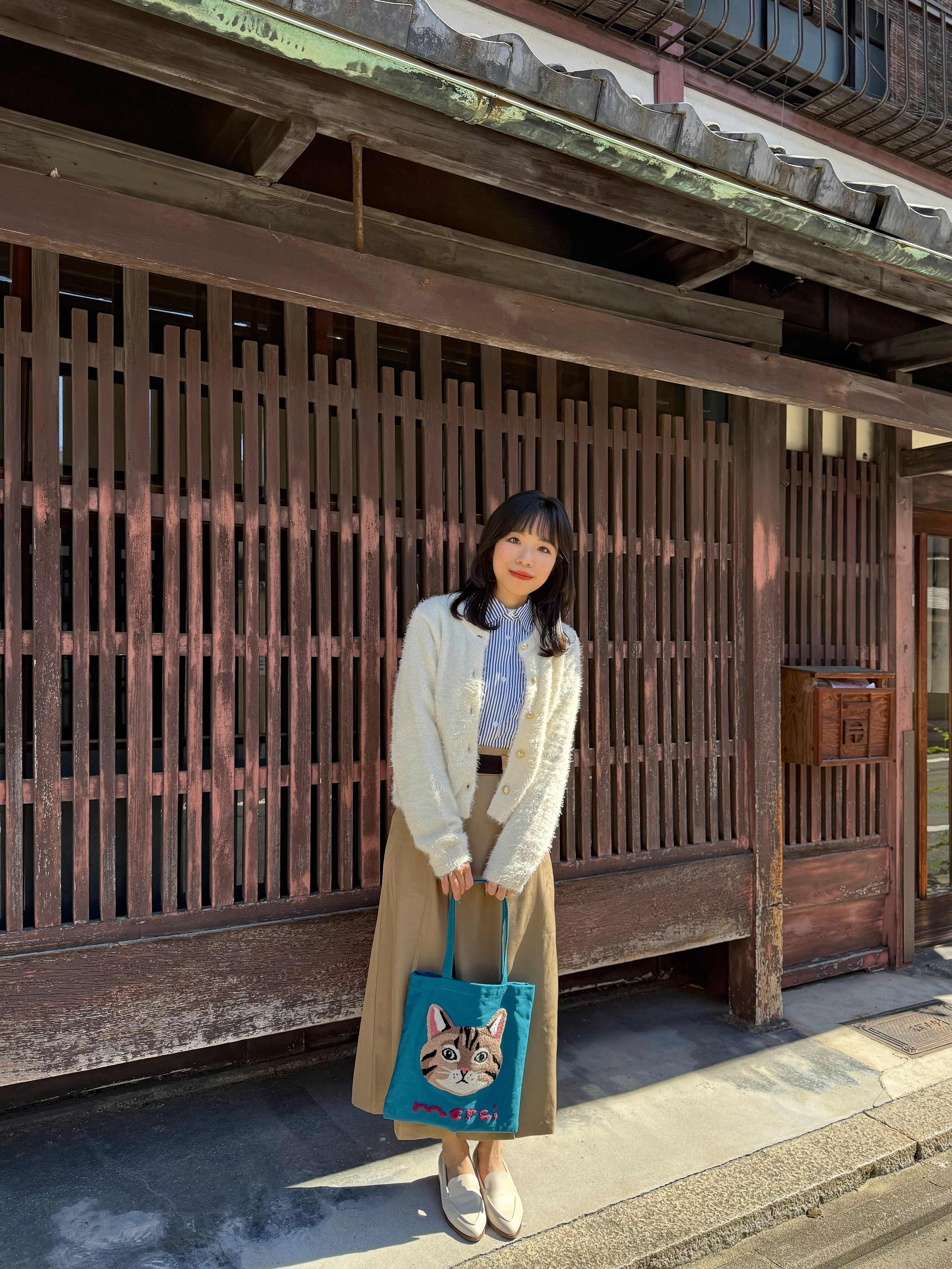 立體貓貓帆布袋