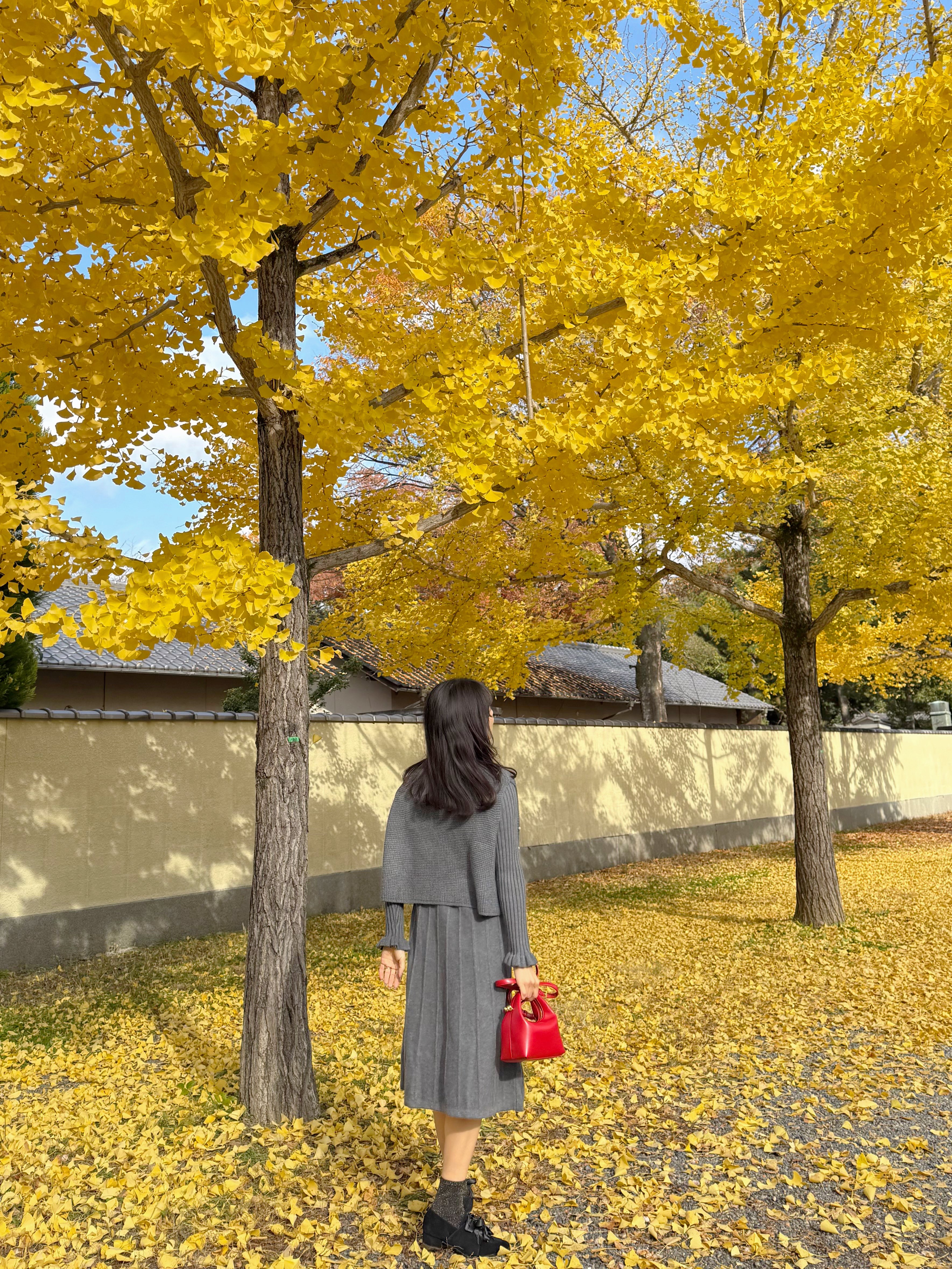 3色•珍珠斗篷針織及膝連身裙