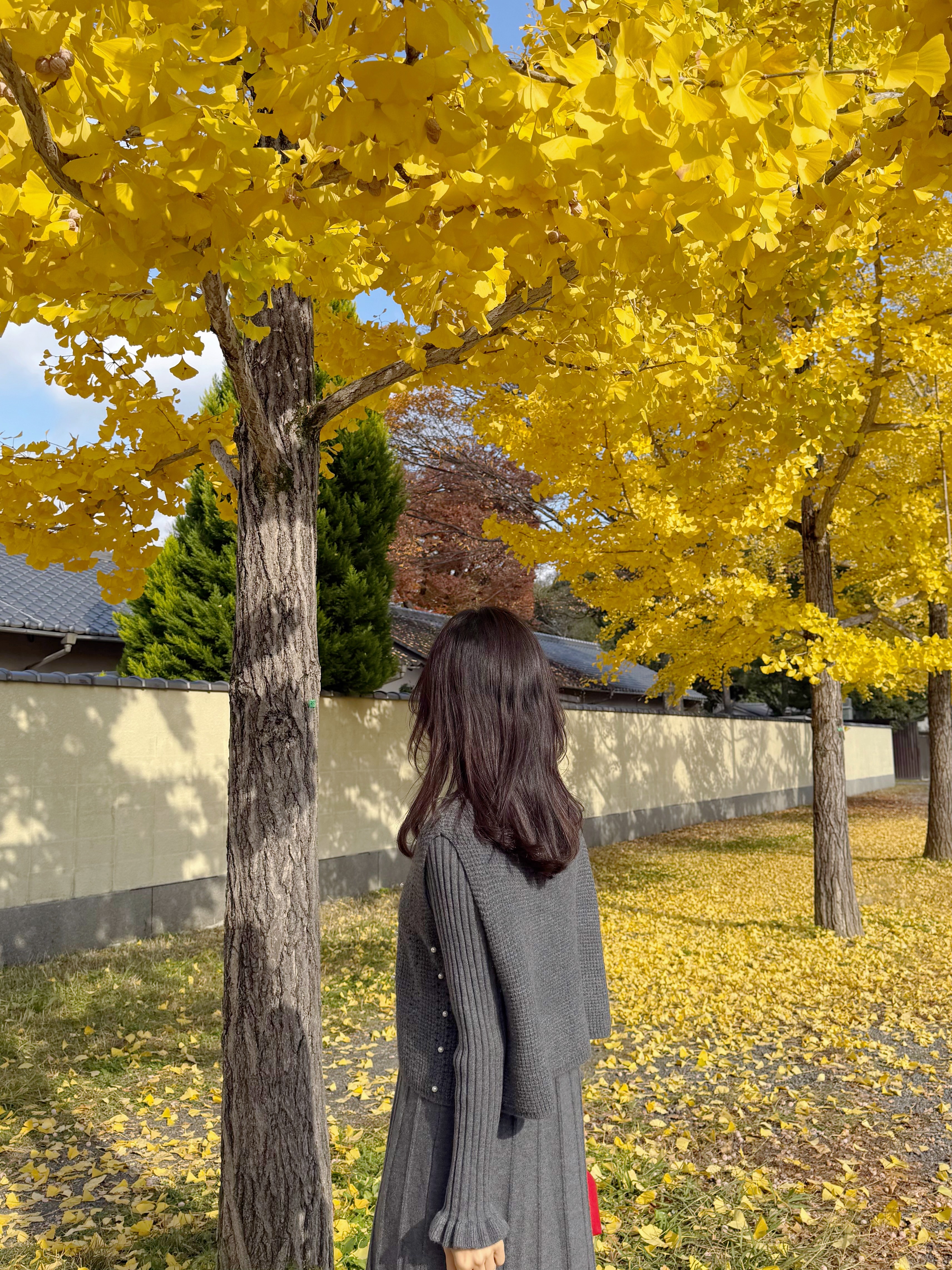 3色•珍珠斗篷針織及膝連身裙