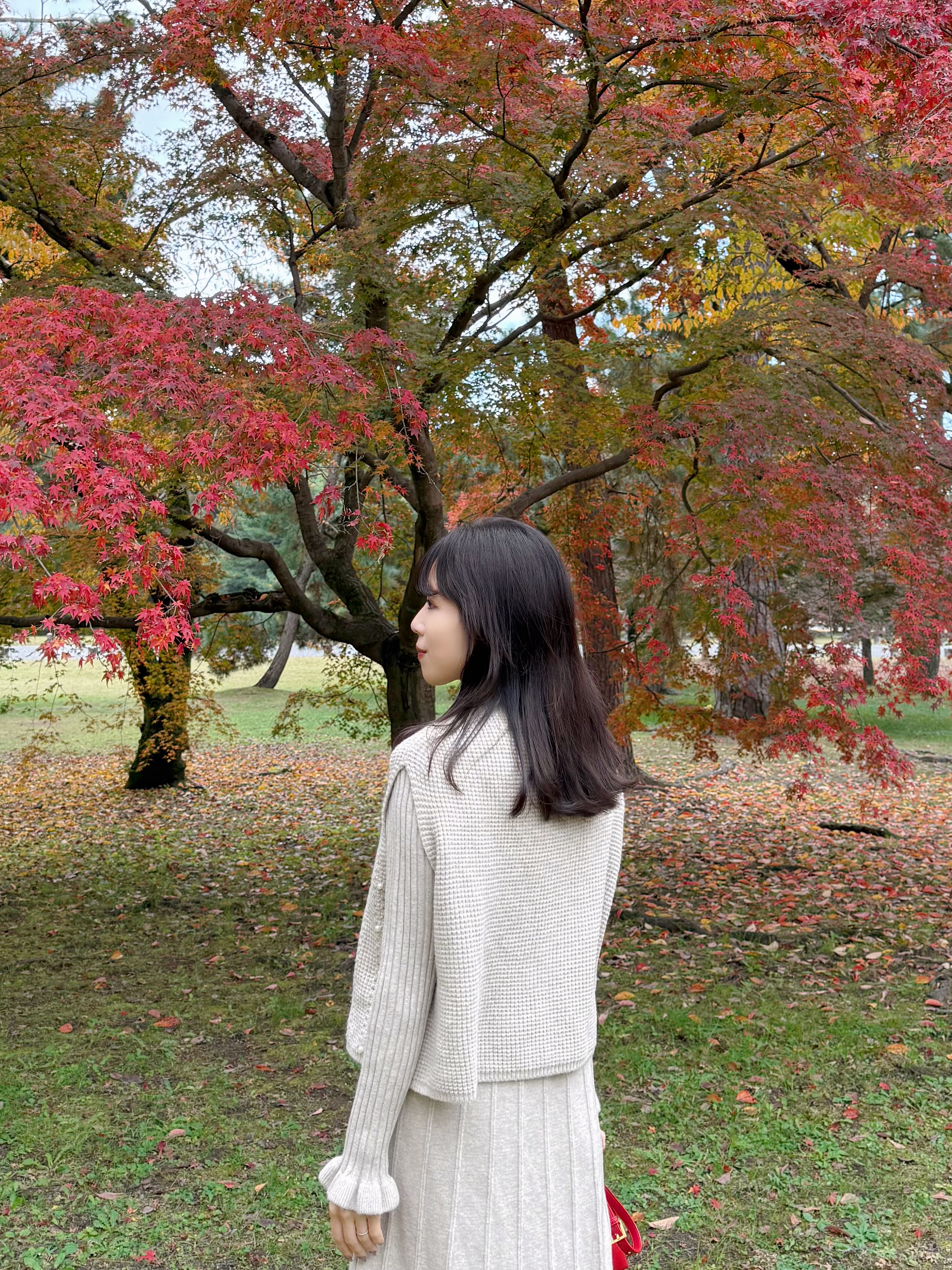 珍珠斗篷針織及膝連身裙