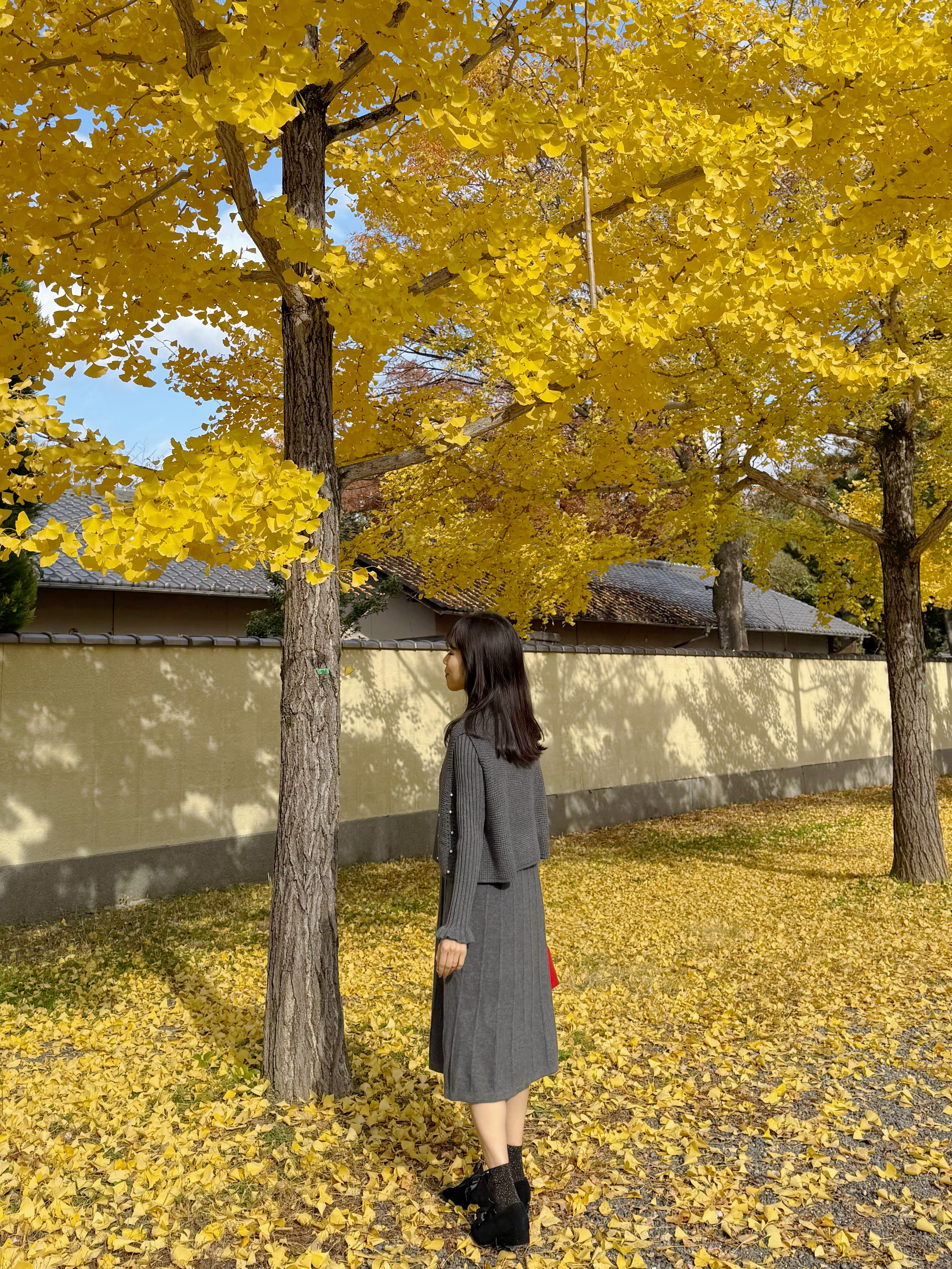 3色•珍珠斗篷針織及膝連身裙