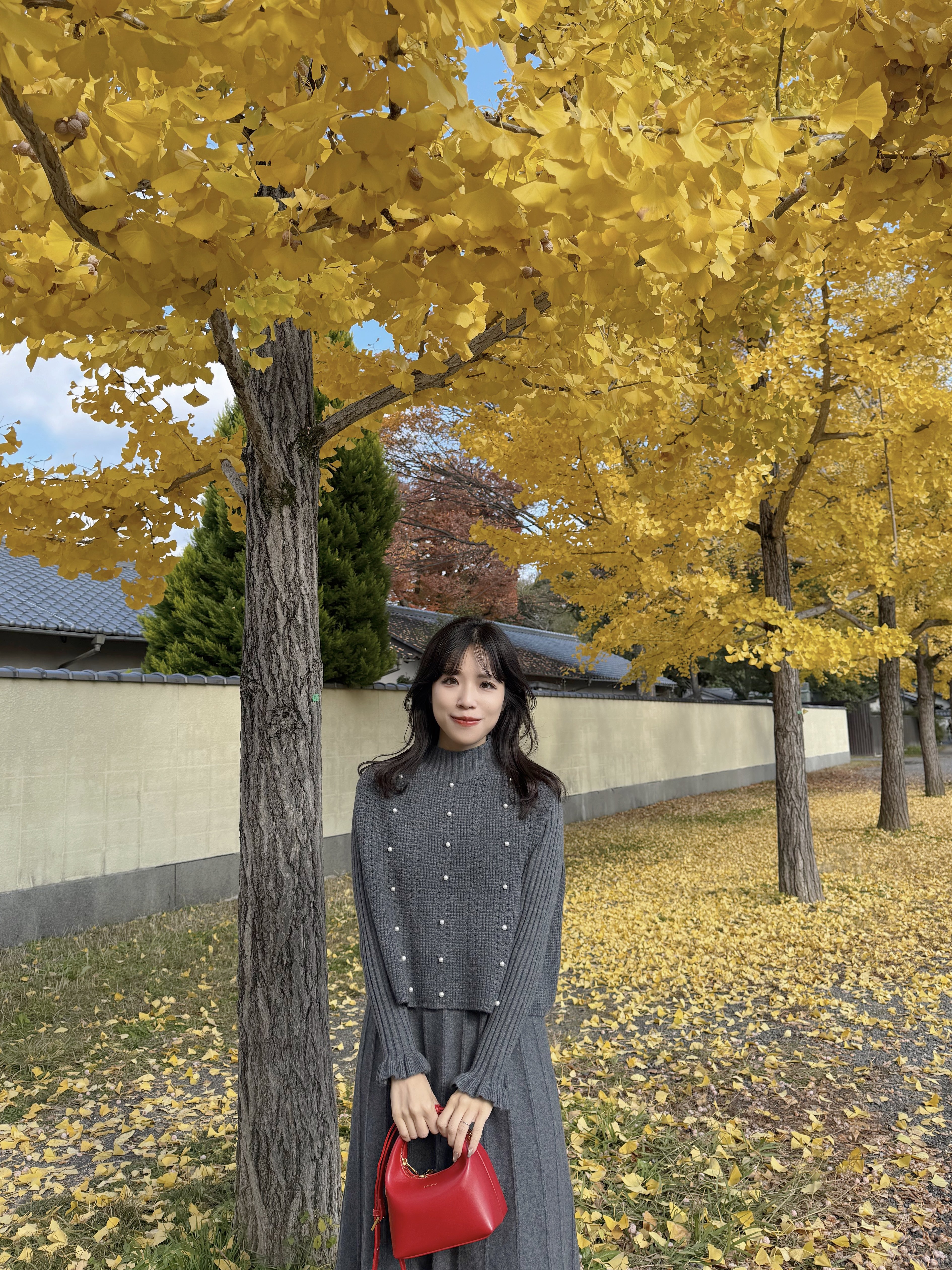 珍珠斗篷針織及膝連身裙