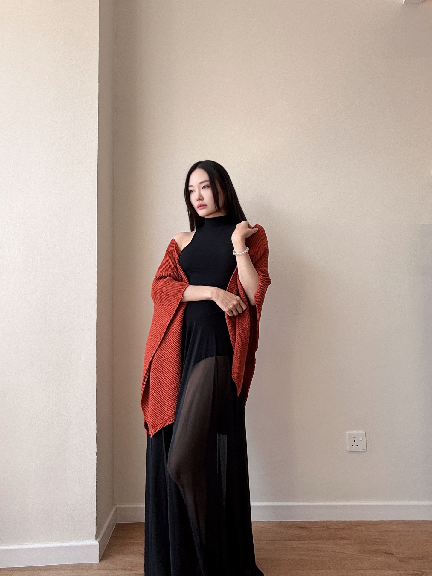 Dracula Bodycon Sheer Maxi Dress