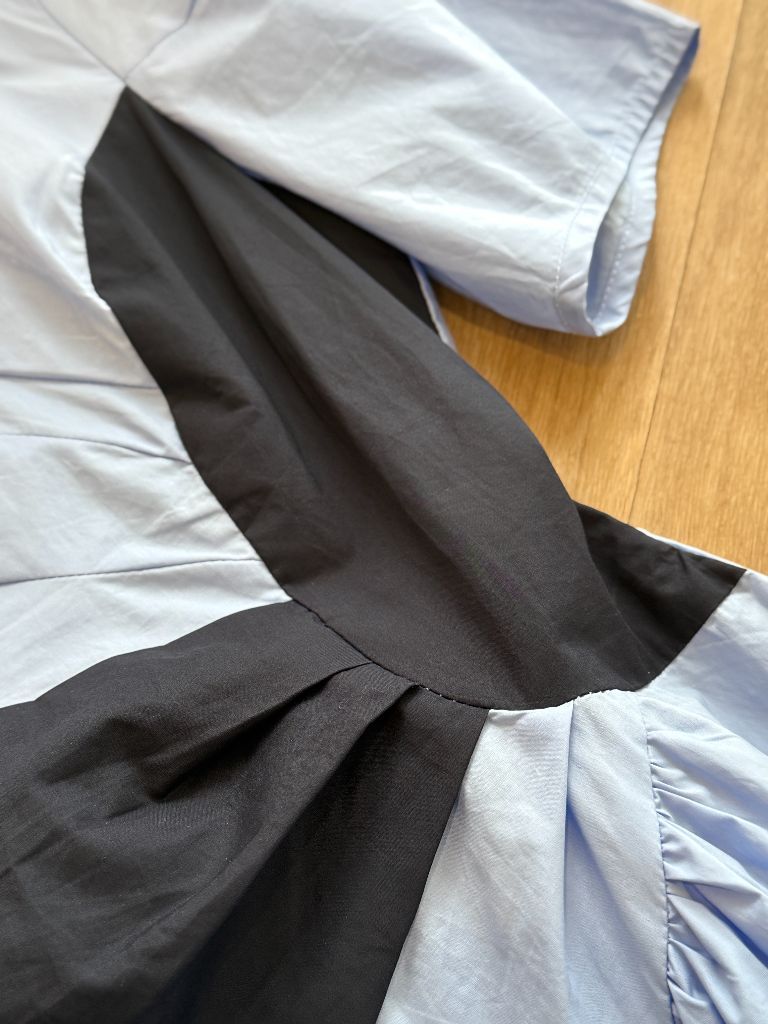 Vaeda Puff Sleeve A-Line Dress