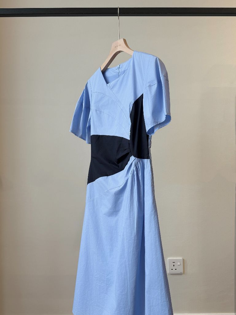 Vaeda Puff Sleeve A-Line Dress