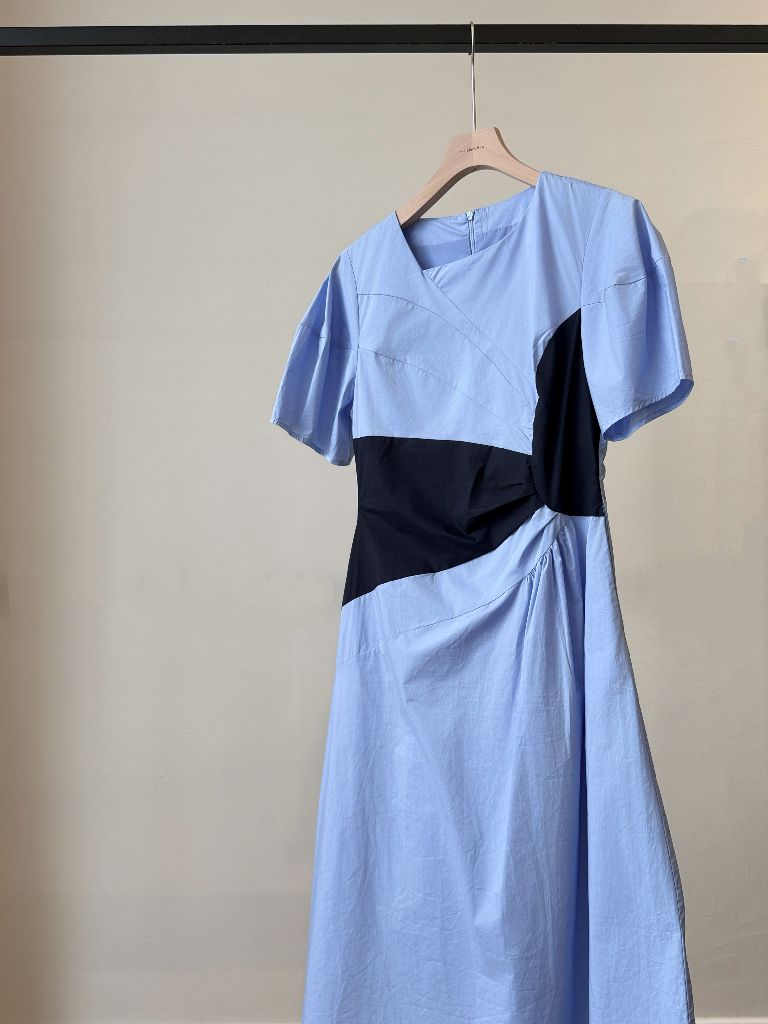 Vaeda Puff Sleeve A-Line Dress