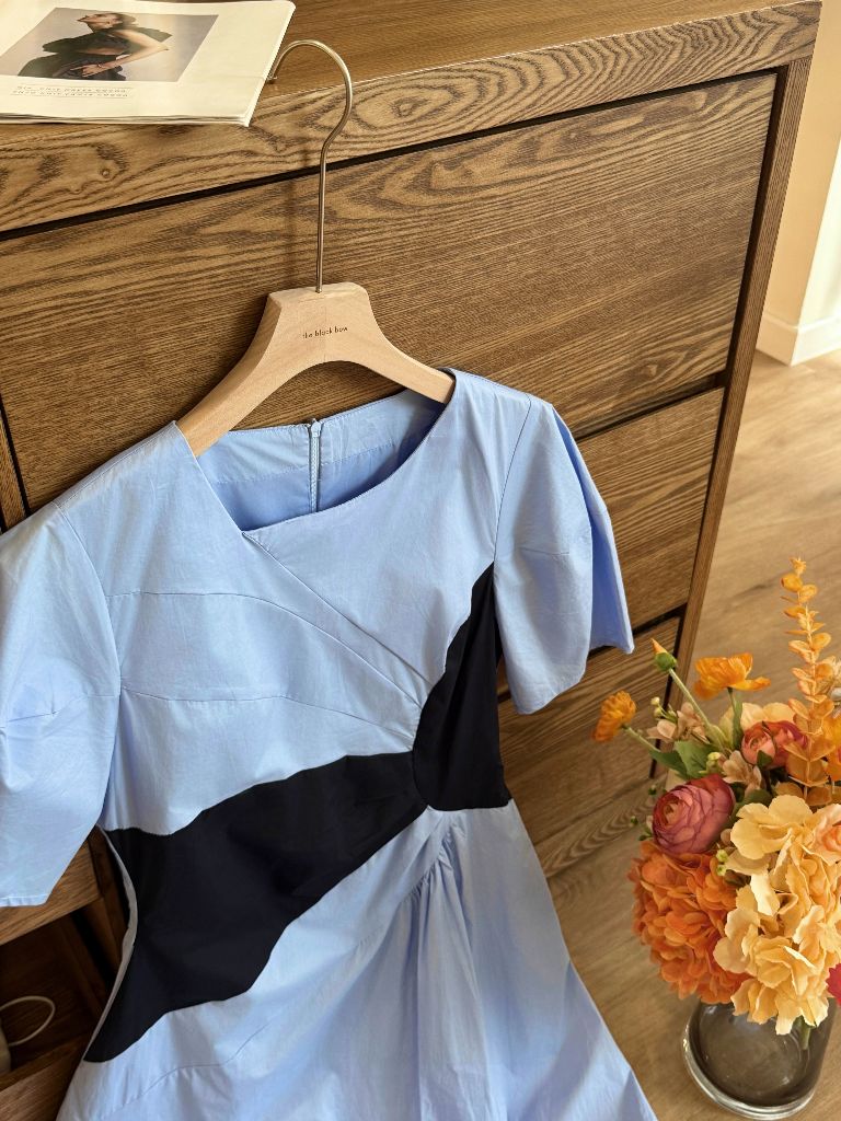 Vaeda Puff Sleeve A-Line Dress