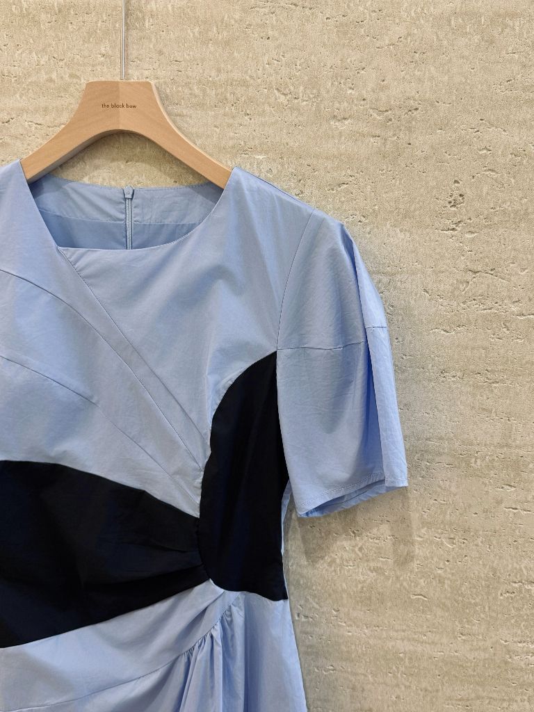 Vaeda Puff Sleeve A-Line Dress