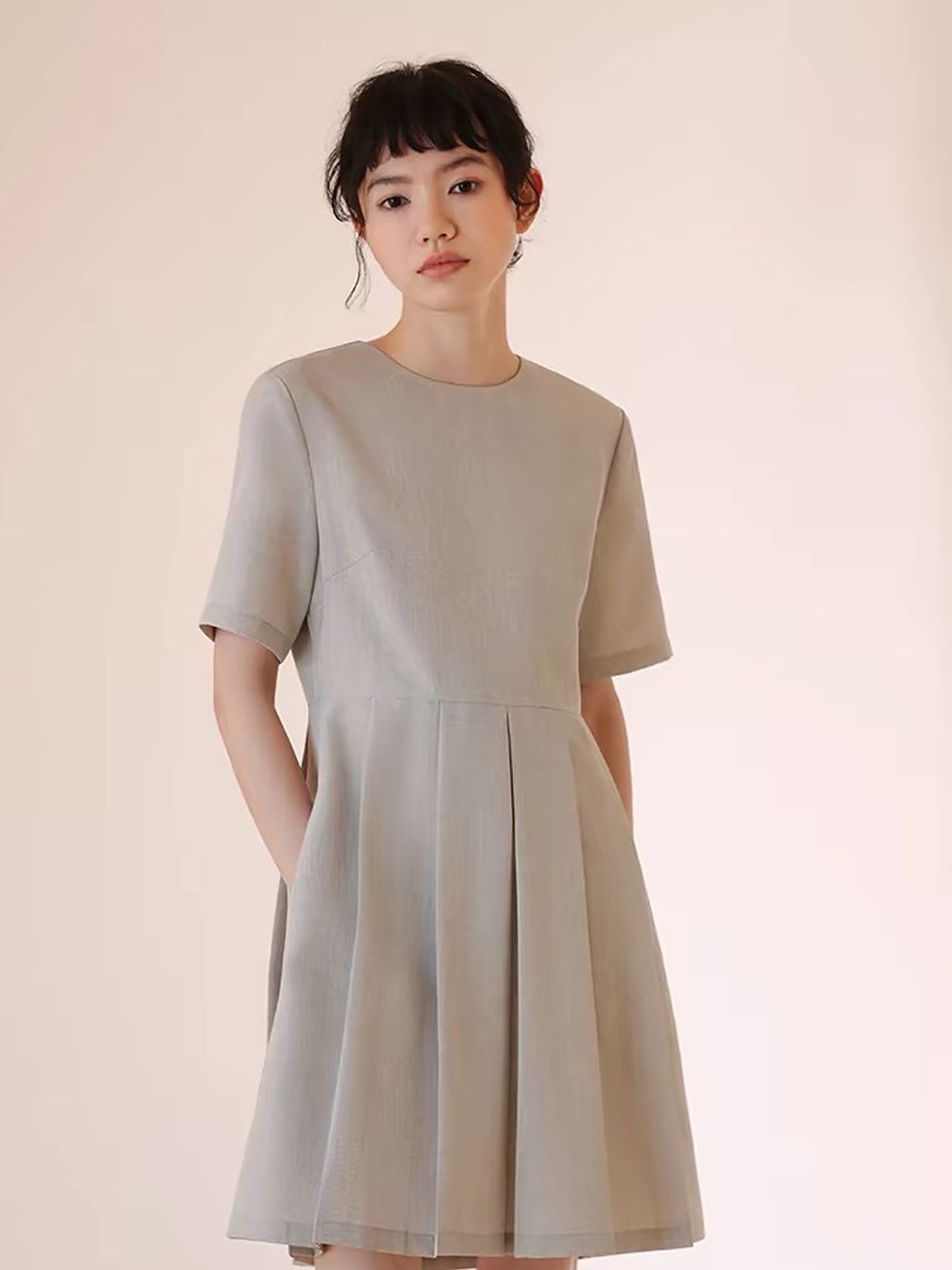 Remington Pleated Fit & Flare Dress