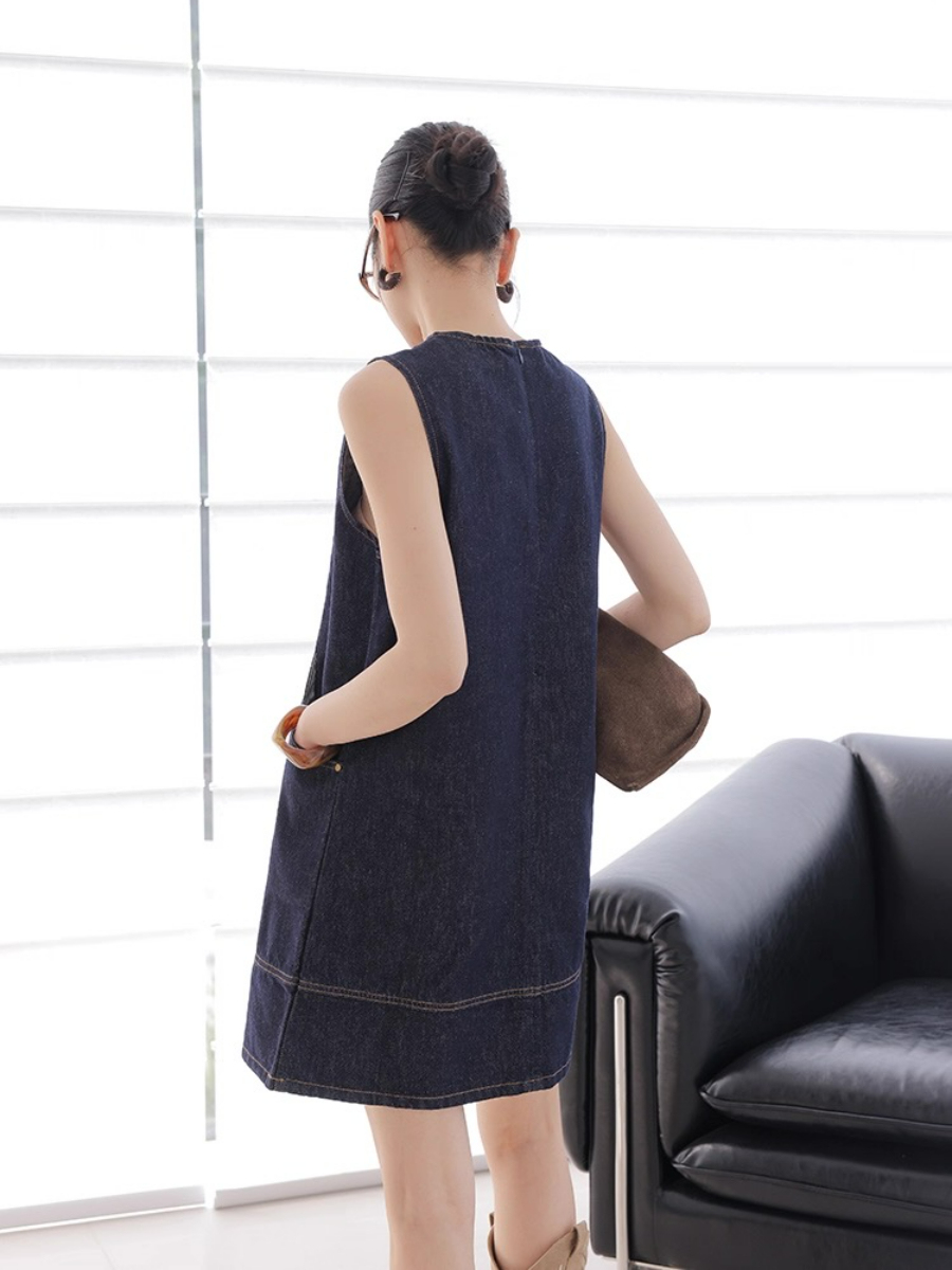 May Denim Shift Dress