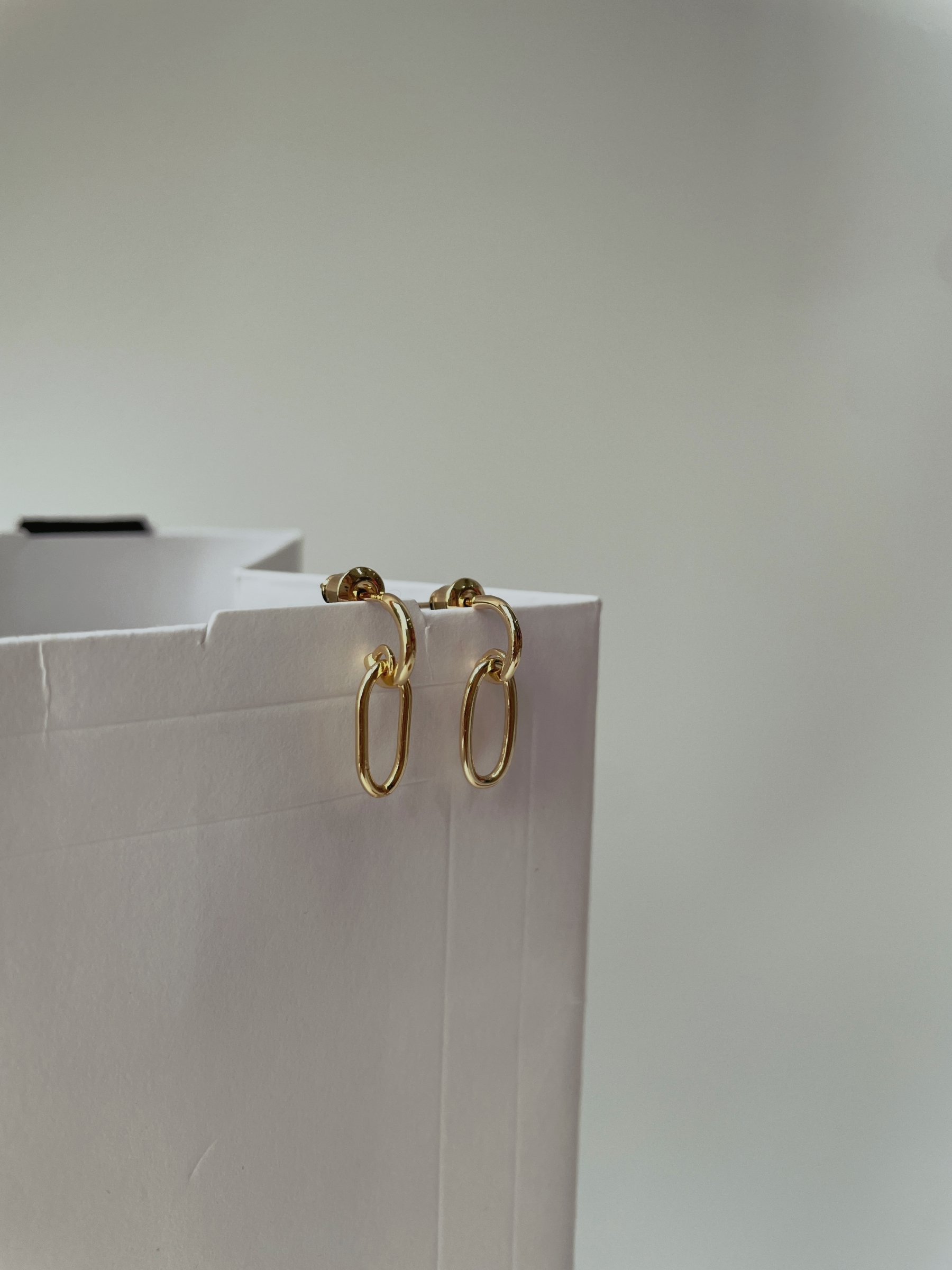 Hae-Eun Oval Hoop Earrings-The Black Bow-