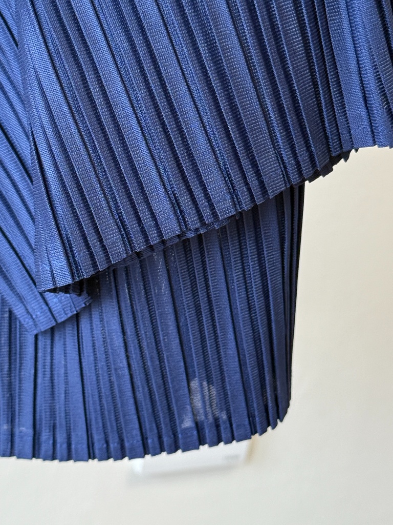 Laya Pleated Flowy Pants (Discounted-Free size)