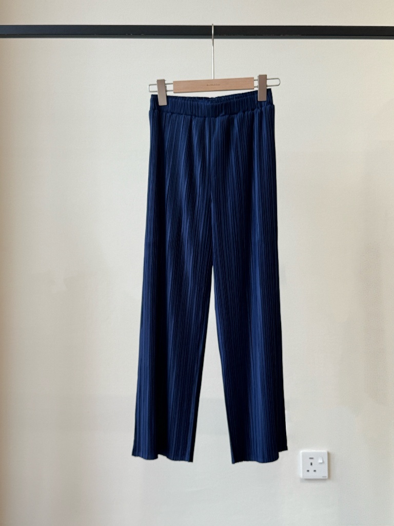 Laya Pleated Flowy Pants (Discounted-Free size)