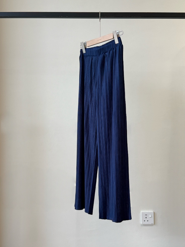 Laya Pleated Flowy Pants (Discounted-Free size)