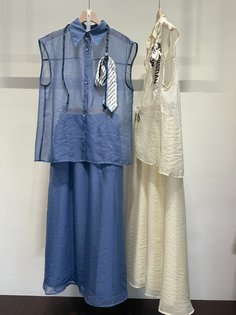 Sheer Top & Skirt Set (SKS104)