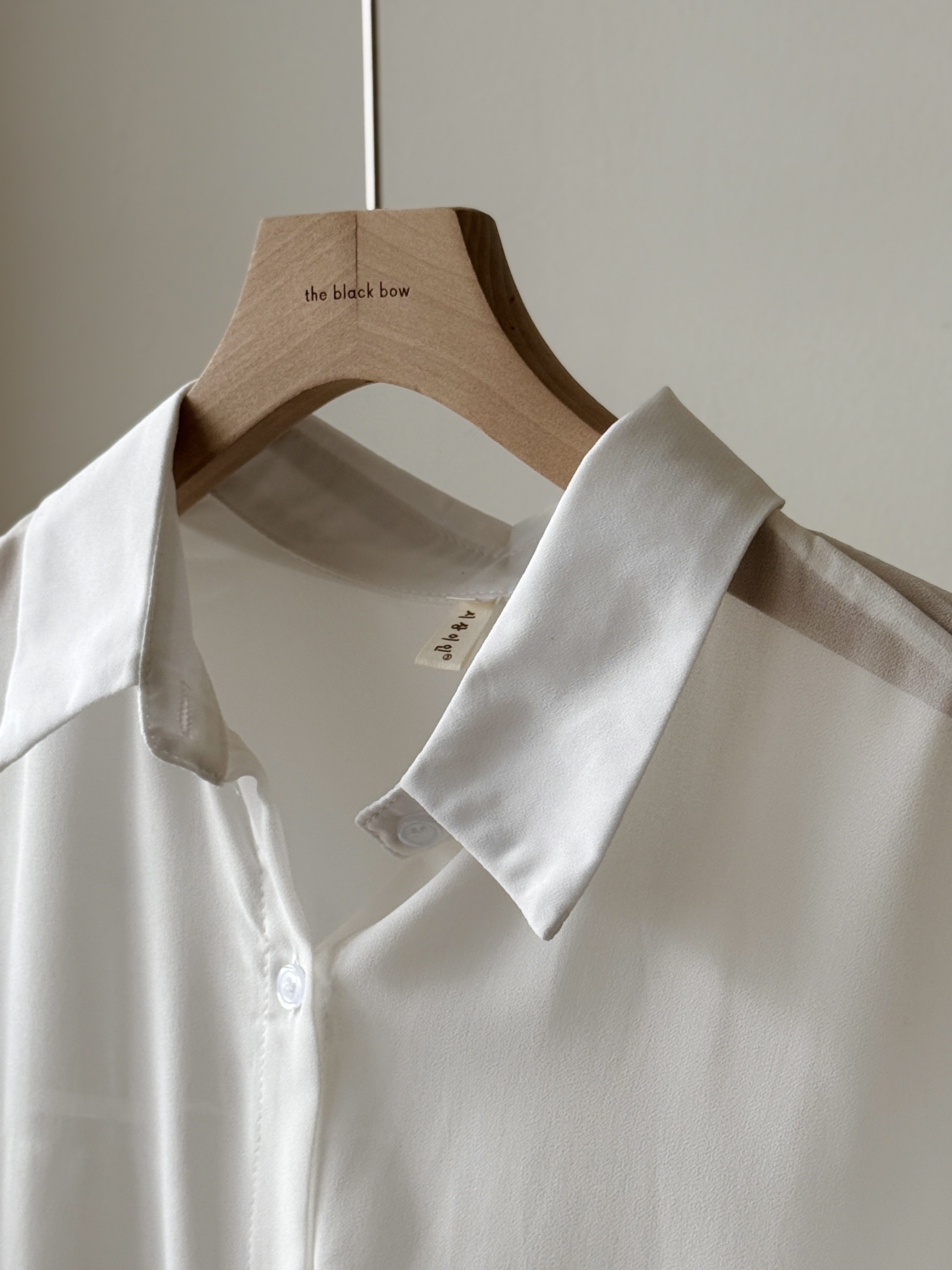 Lala Sheer Chiffon Shirt