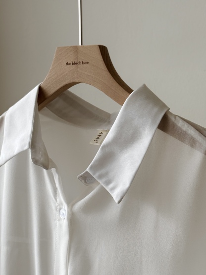 Lala Sheer Chiffon Shirt