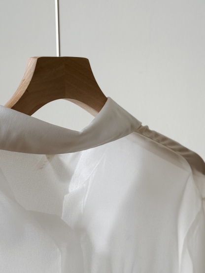 Lala Sheer Chiffon Shirt