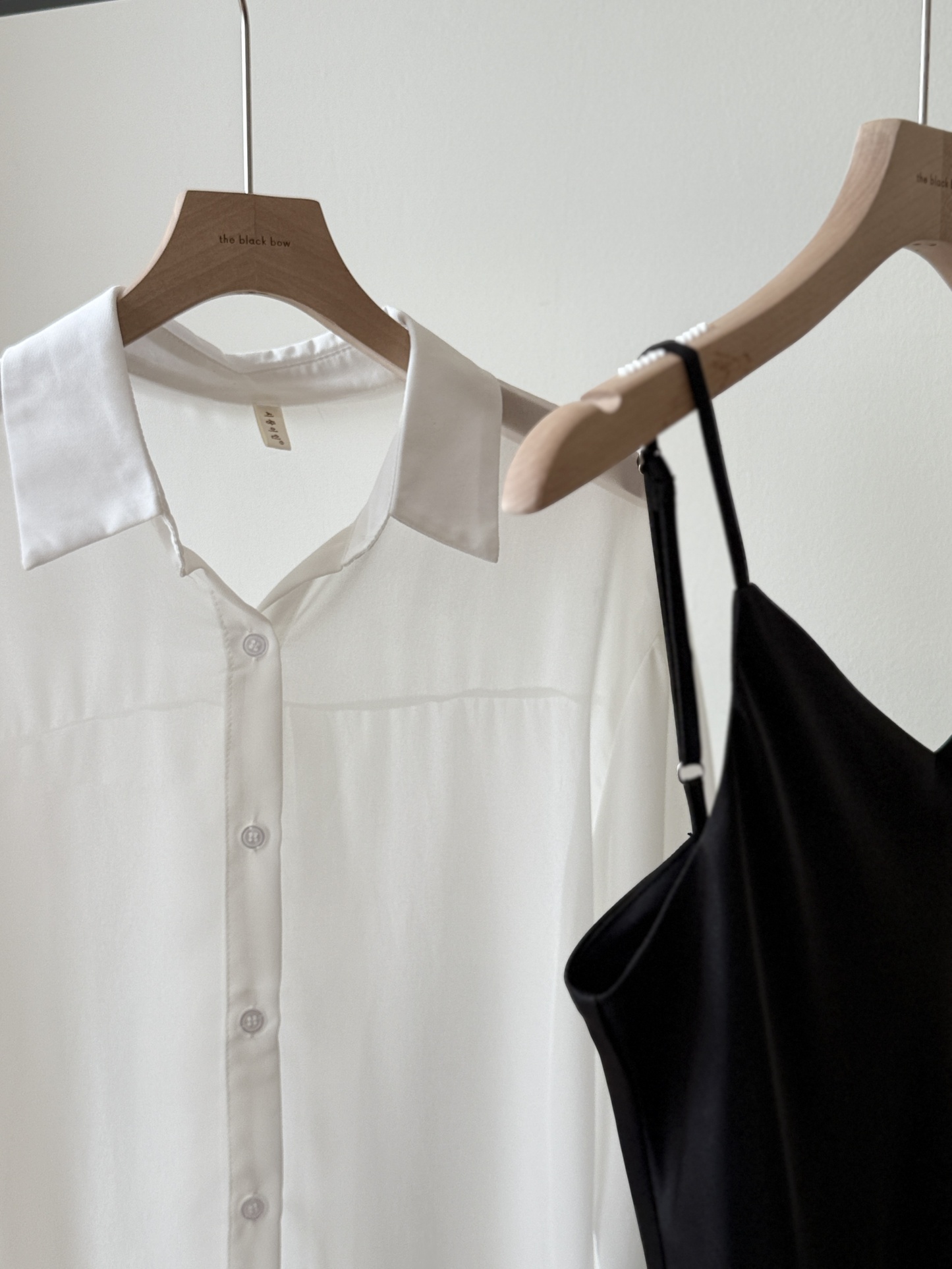 Lala Sheer Chiffon Shirt