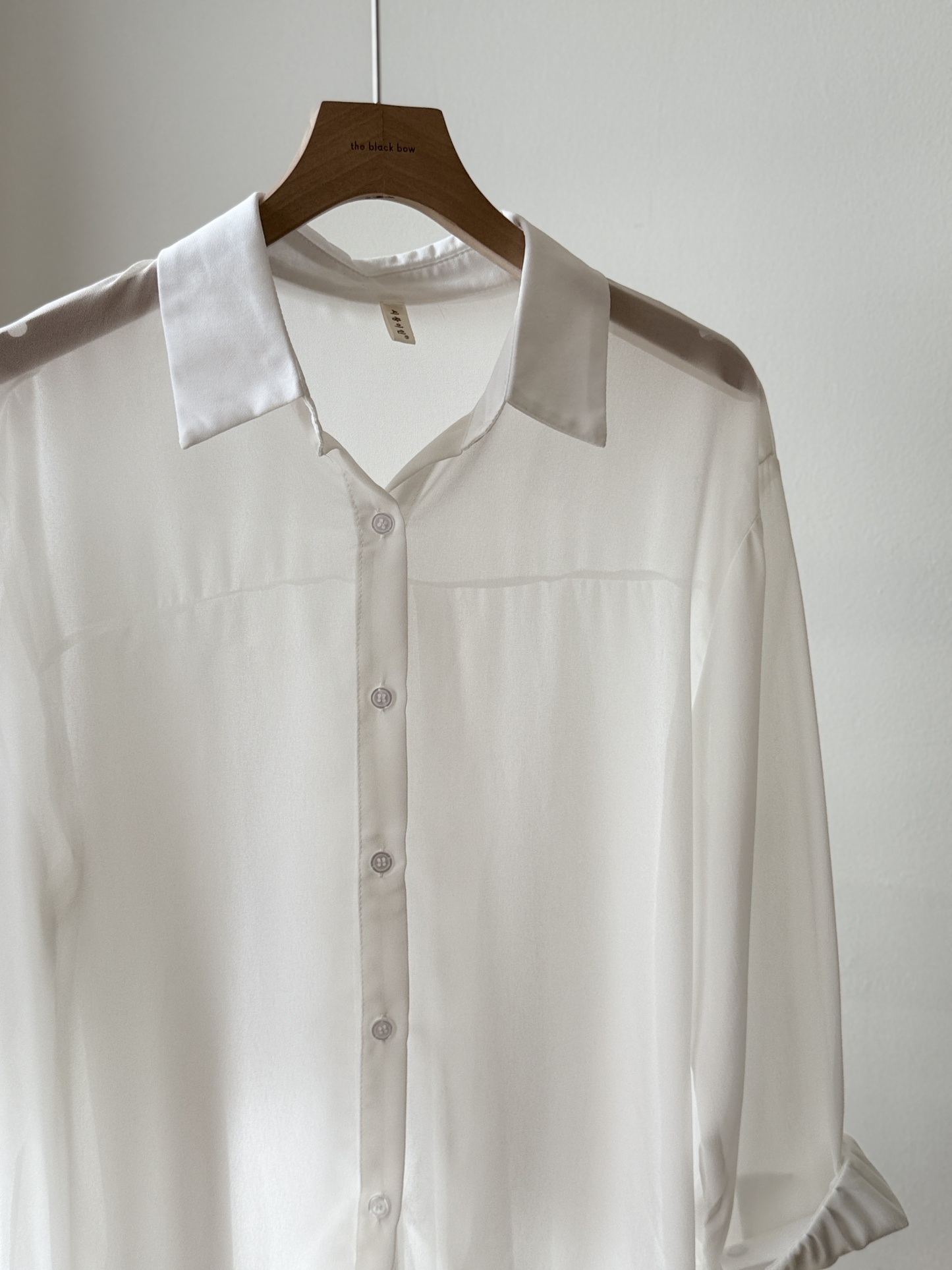 Lala Sheer Chiffon Shirt