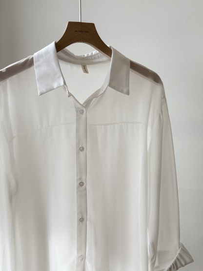 Lala Sheer Chiffon Shirt