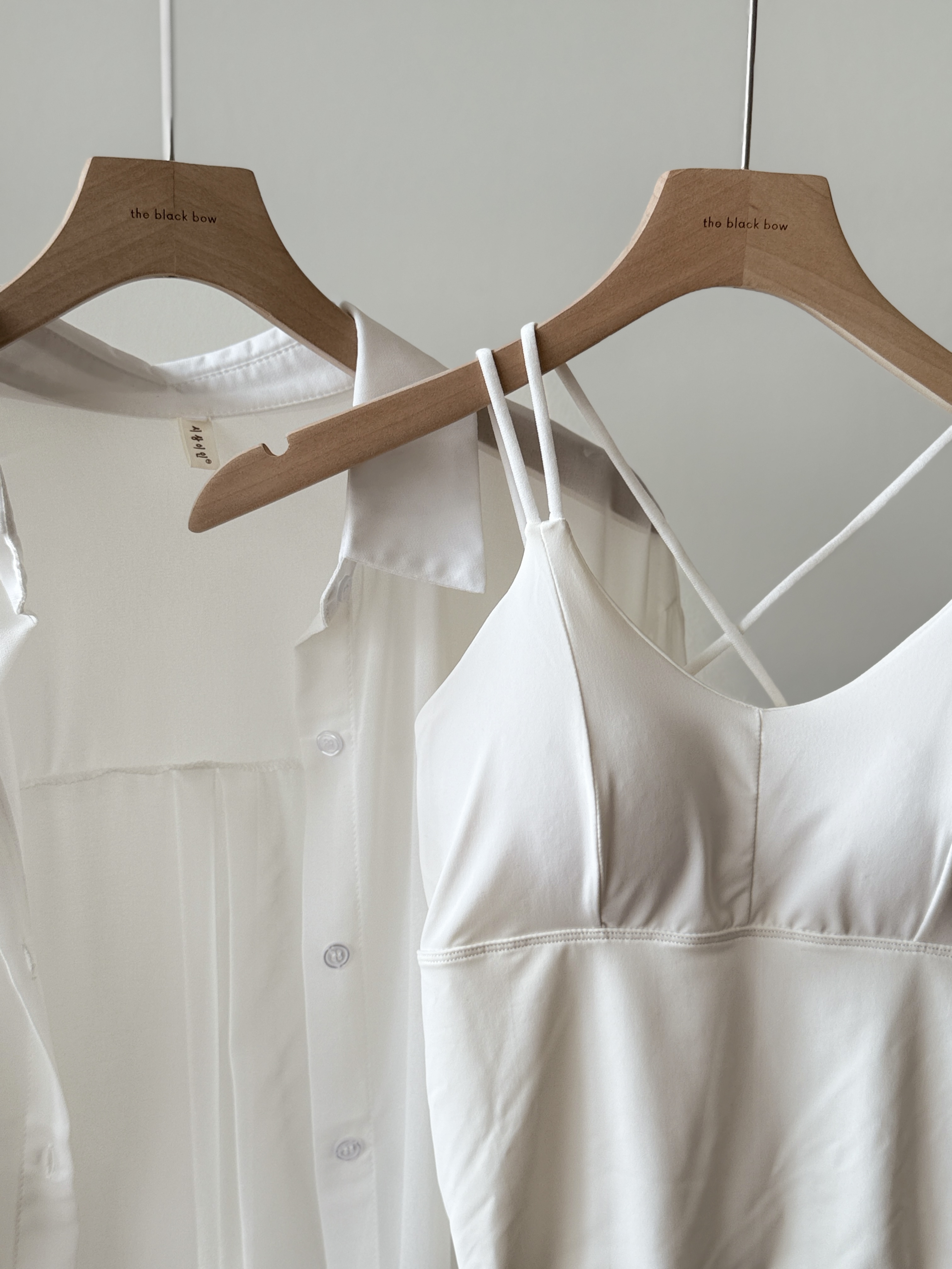 Lala Sheer Chiffon Shirt