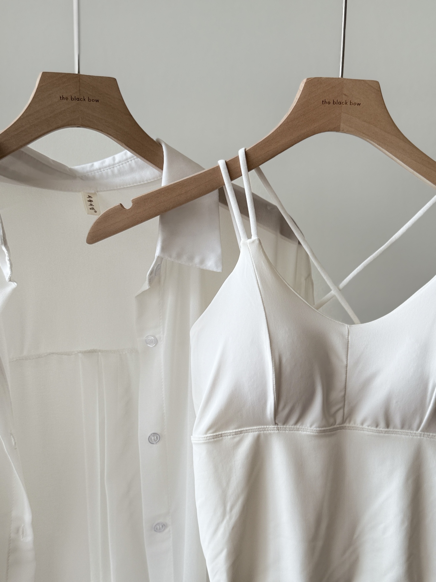 Lala Sheer Chiffon Shirt