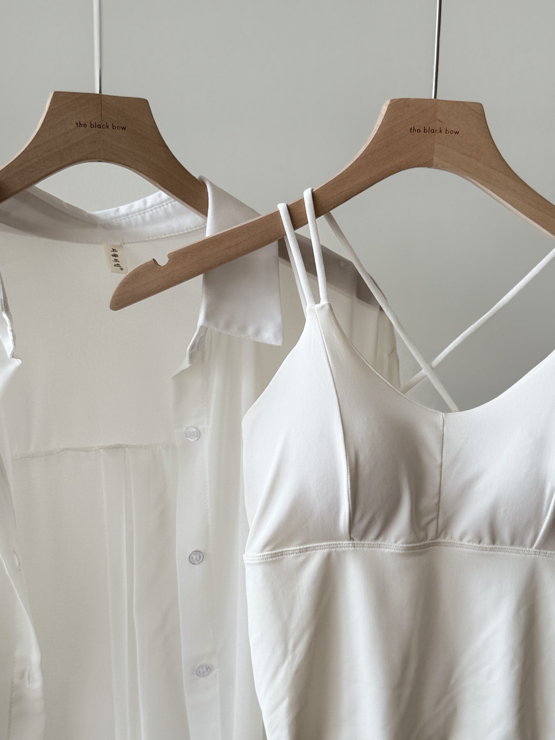 Lala Sheer Chiffon Shirt