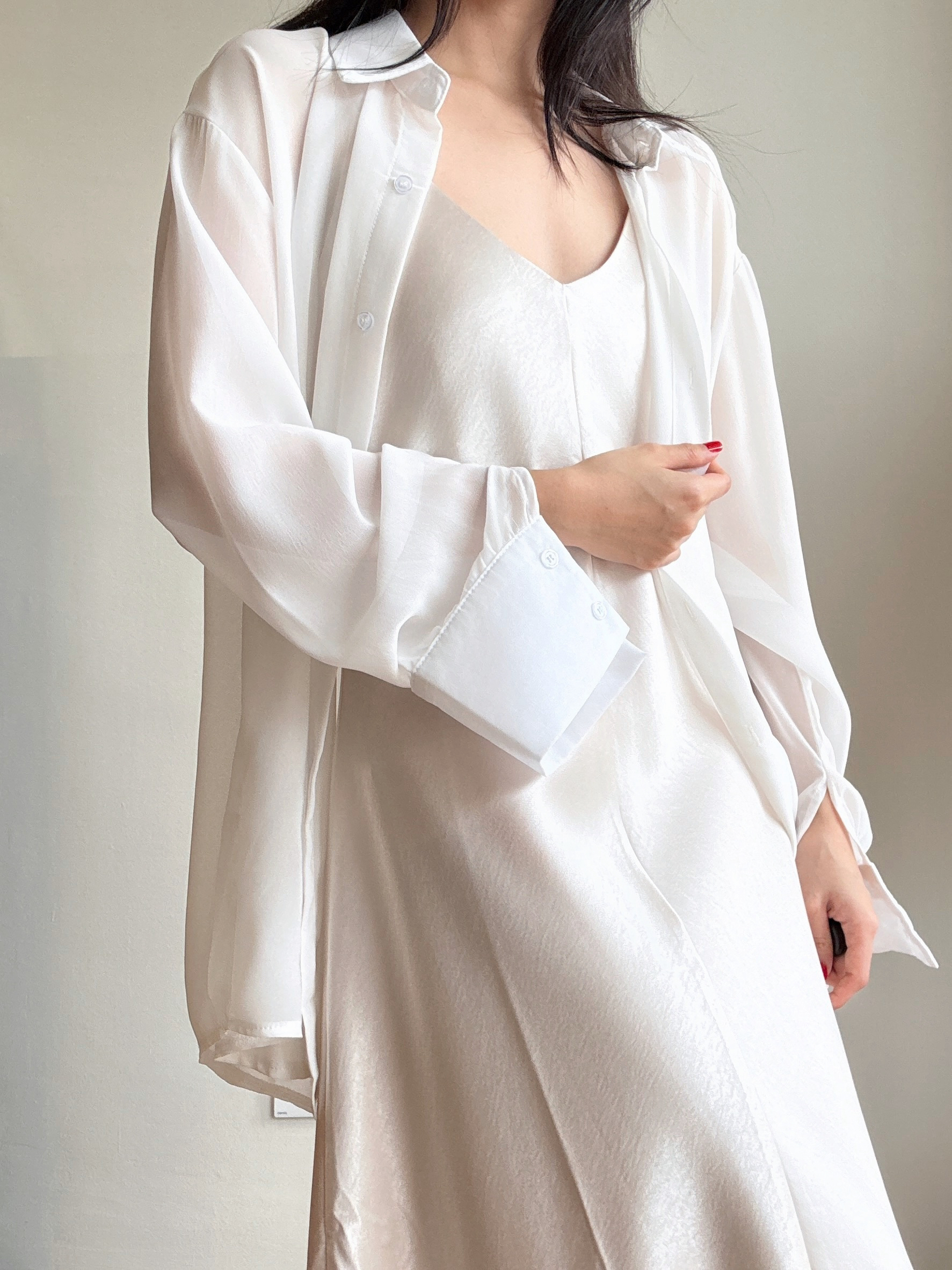 Lala Sheer Chiffon Shirt