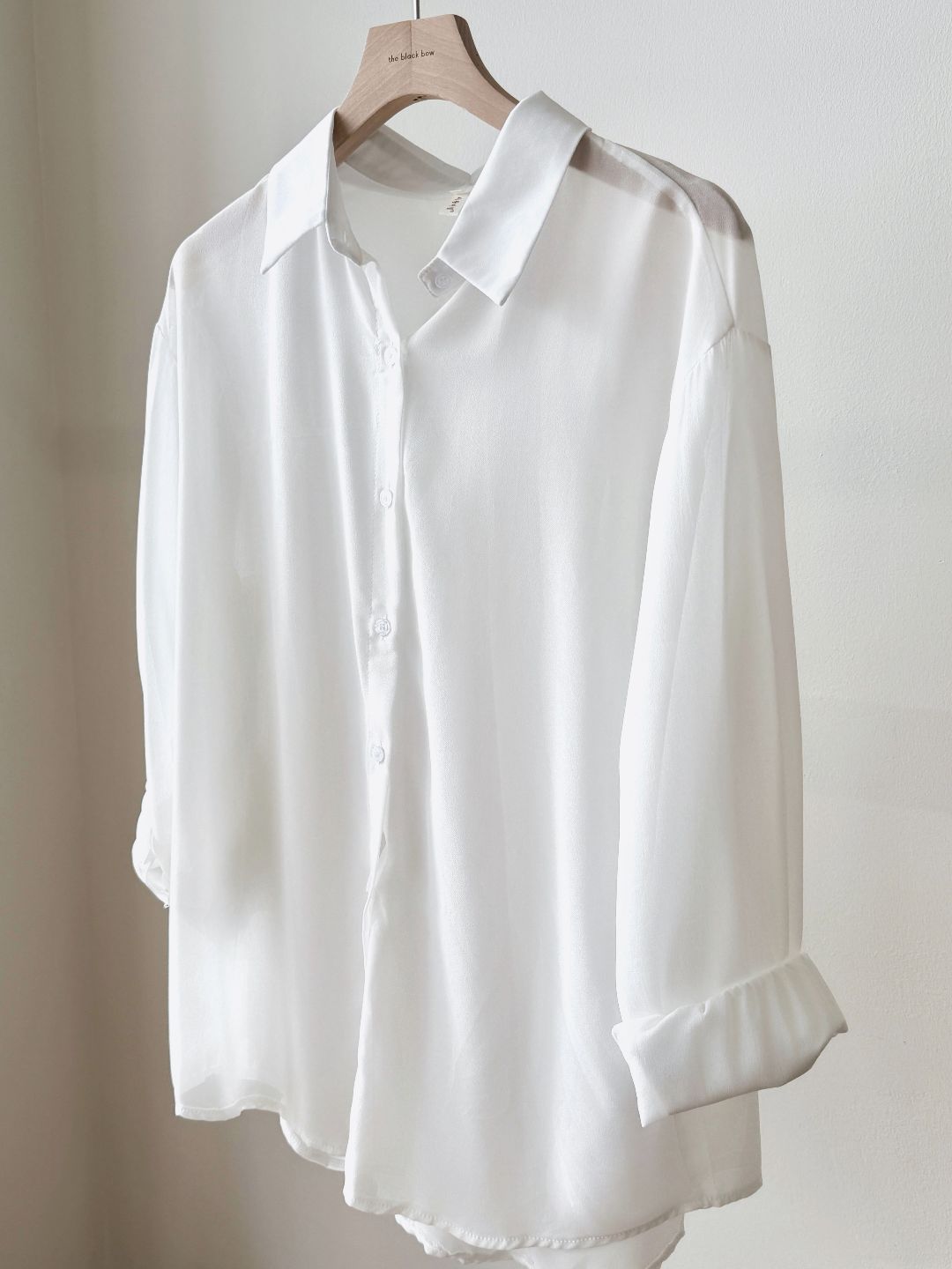 Lala Sheer Chiffon Shirt
