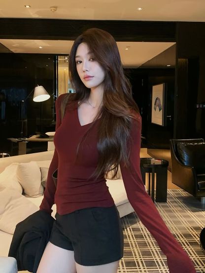 Dayea V-Neck Long Sleeve Top