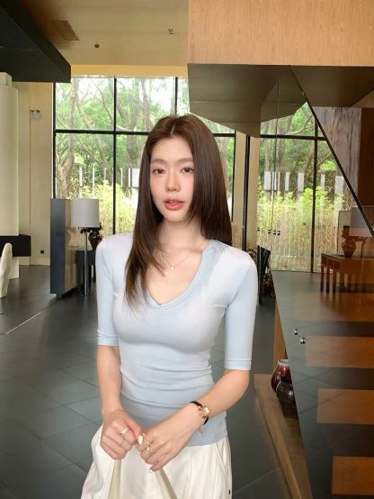 Drusila V-Neck Mid Sleeve Top