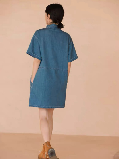 Hendrix A-Line Denim Dress