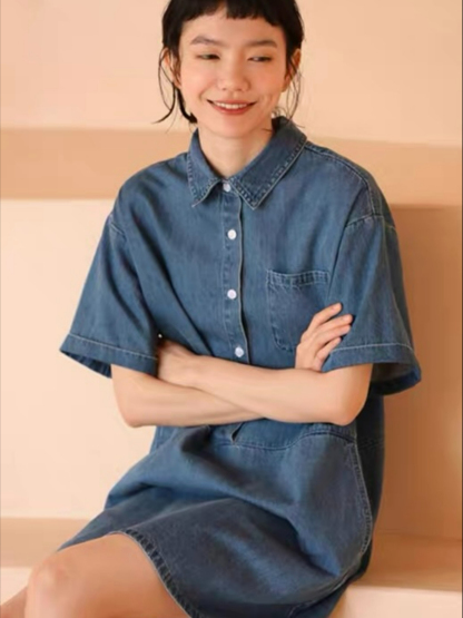Hendrix A-Line Denim Dress