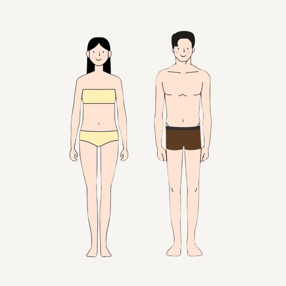 Body Assessment Consultation Service