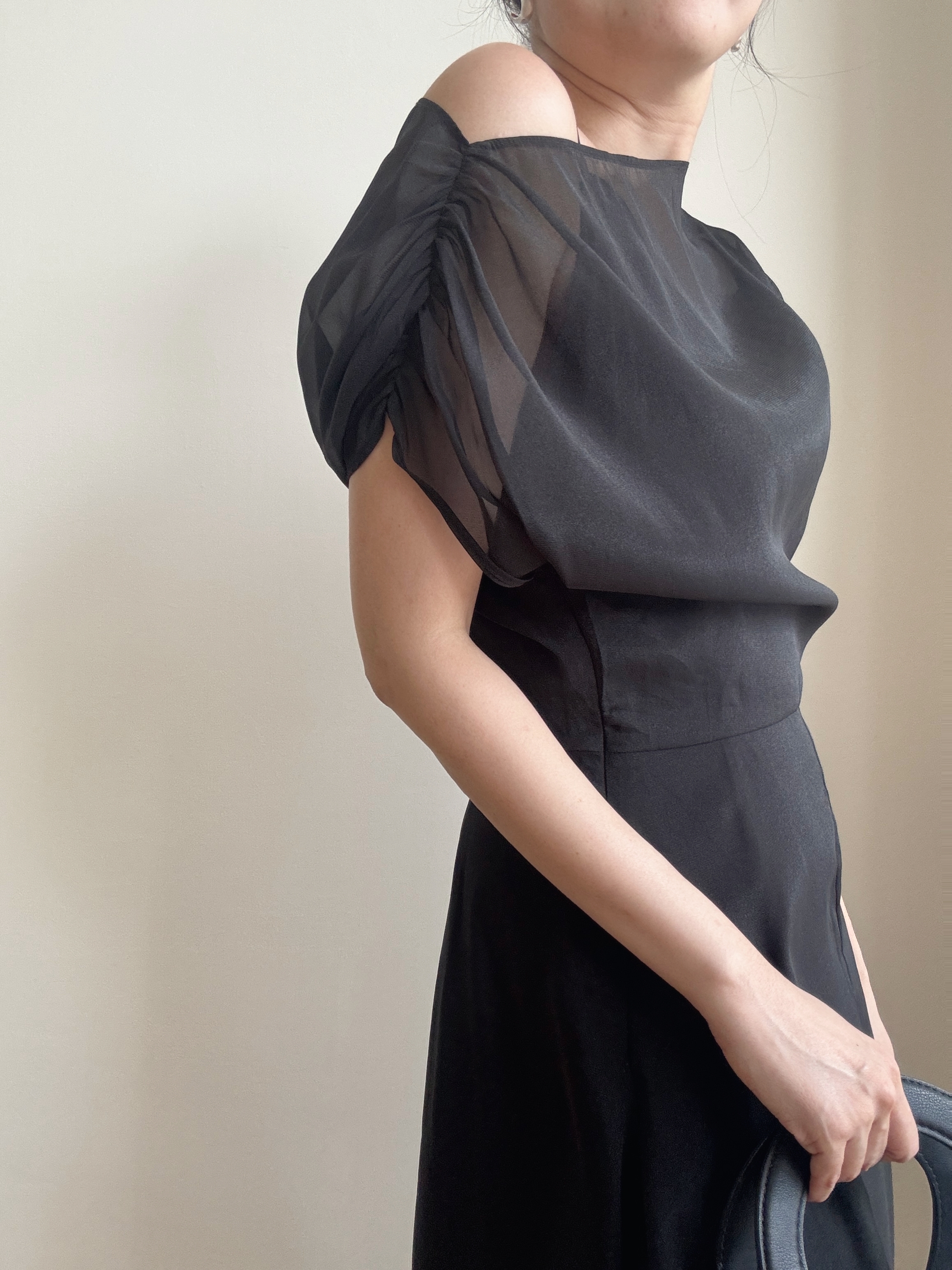 Vanyce Asymmetric Collar Two Piece Sheer Dress