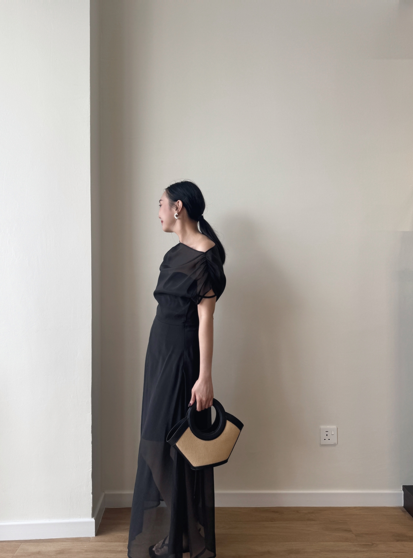 Vanyce Asymmetric Collar Two Piece Sheer Dress