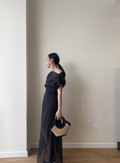 Vanyce Asymmetric Collar Two Piece Sheer Dress
