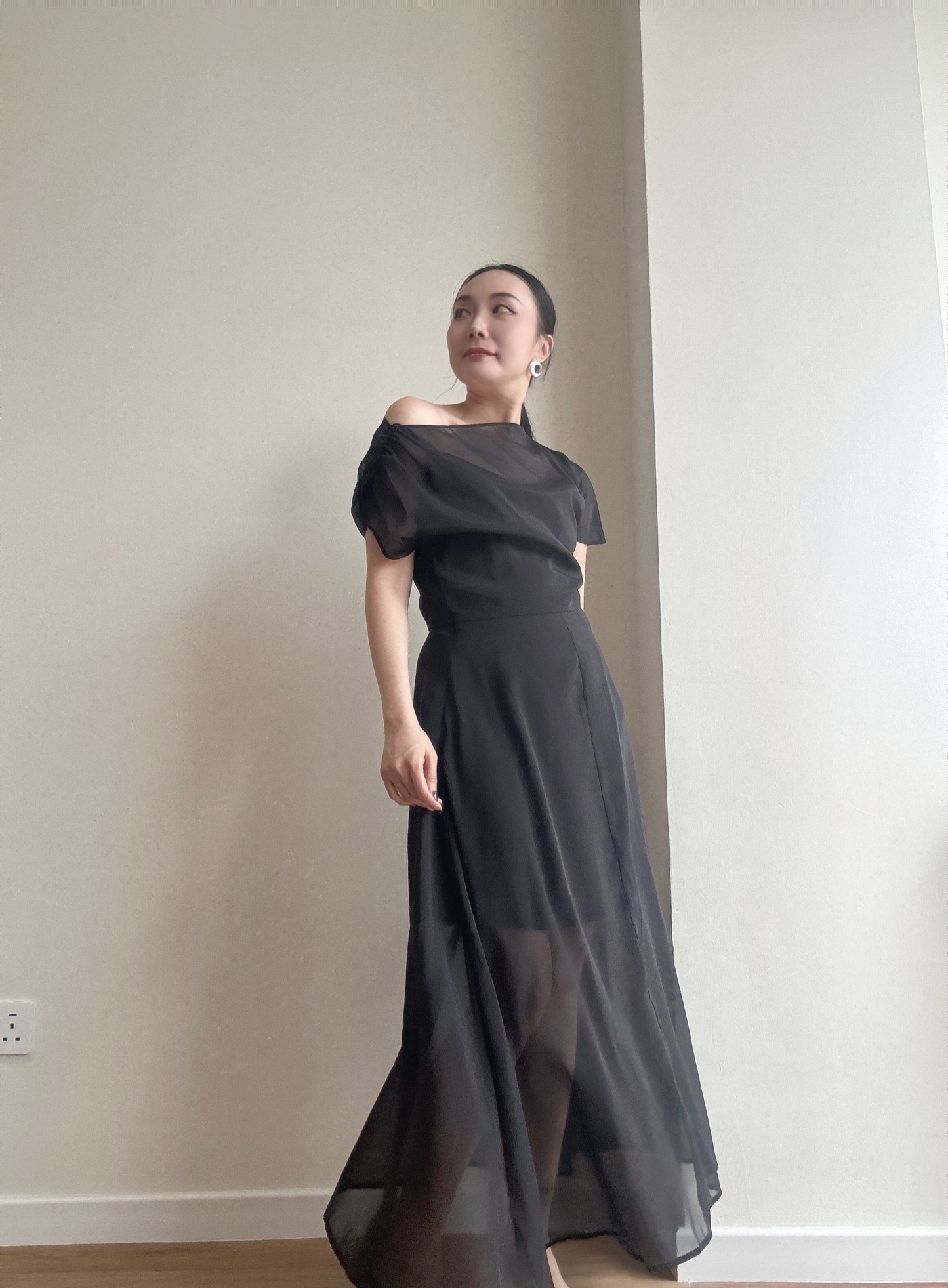 Vanyce Asymmetric Collar Two Piece Sheer Dress