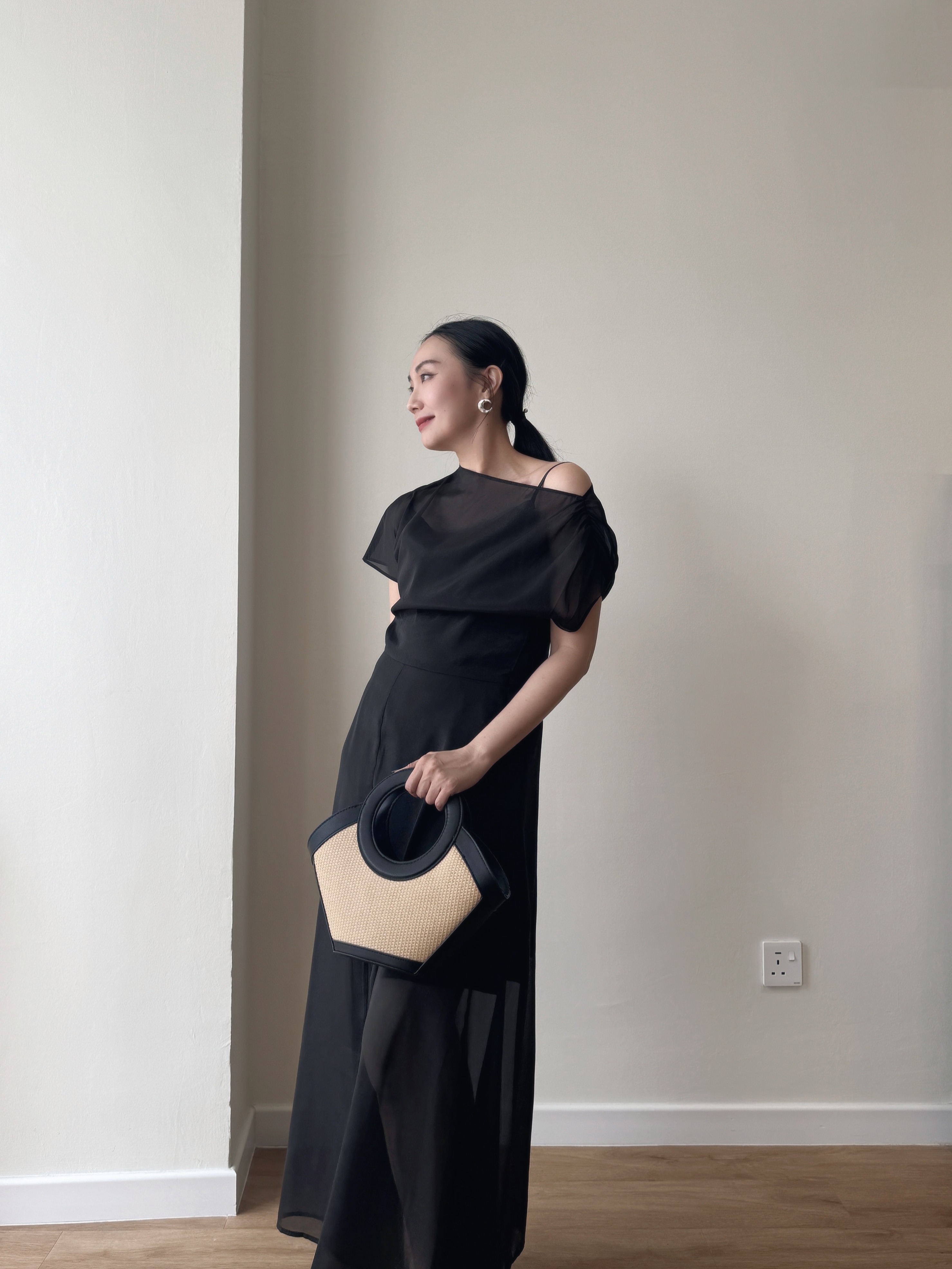 Vanyce Asymmetric Collar Two Piece Sheer Dress