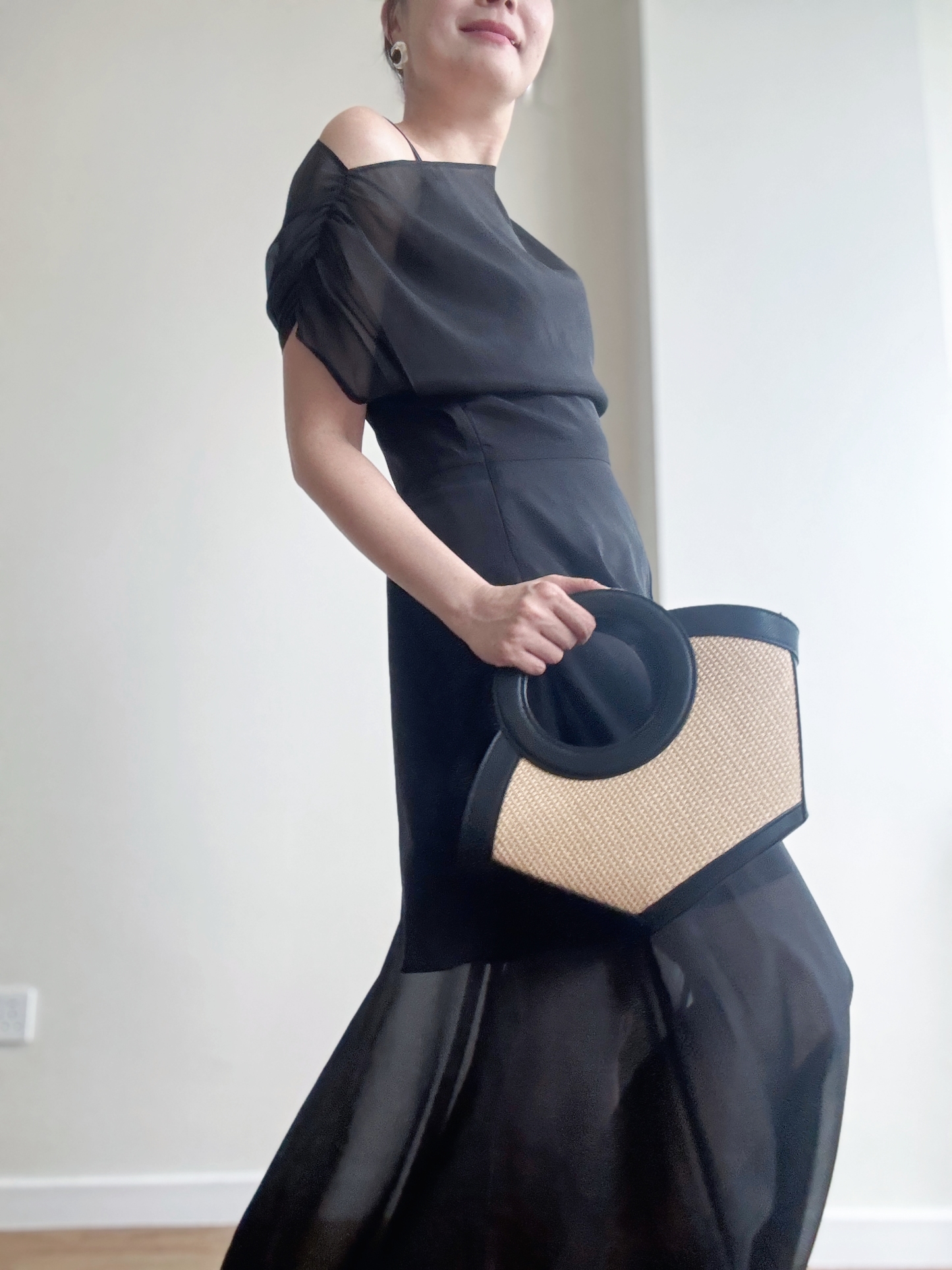 Vanyce Asymmetric Collar Two Piece Sheer Dress