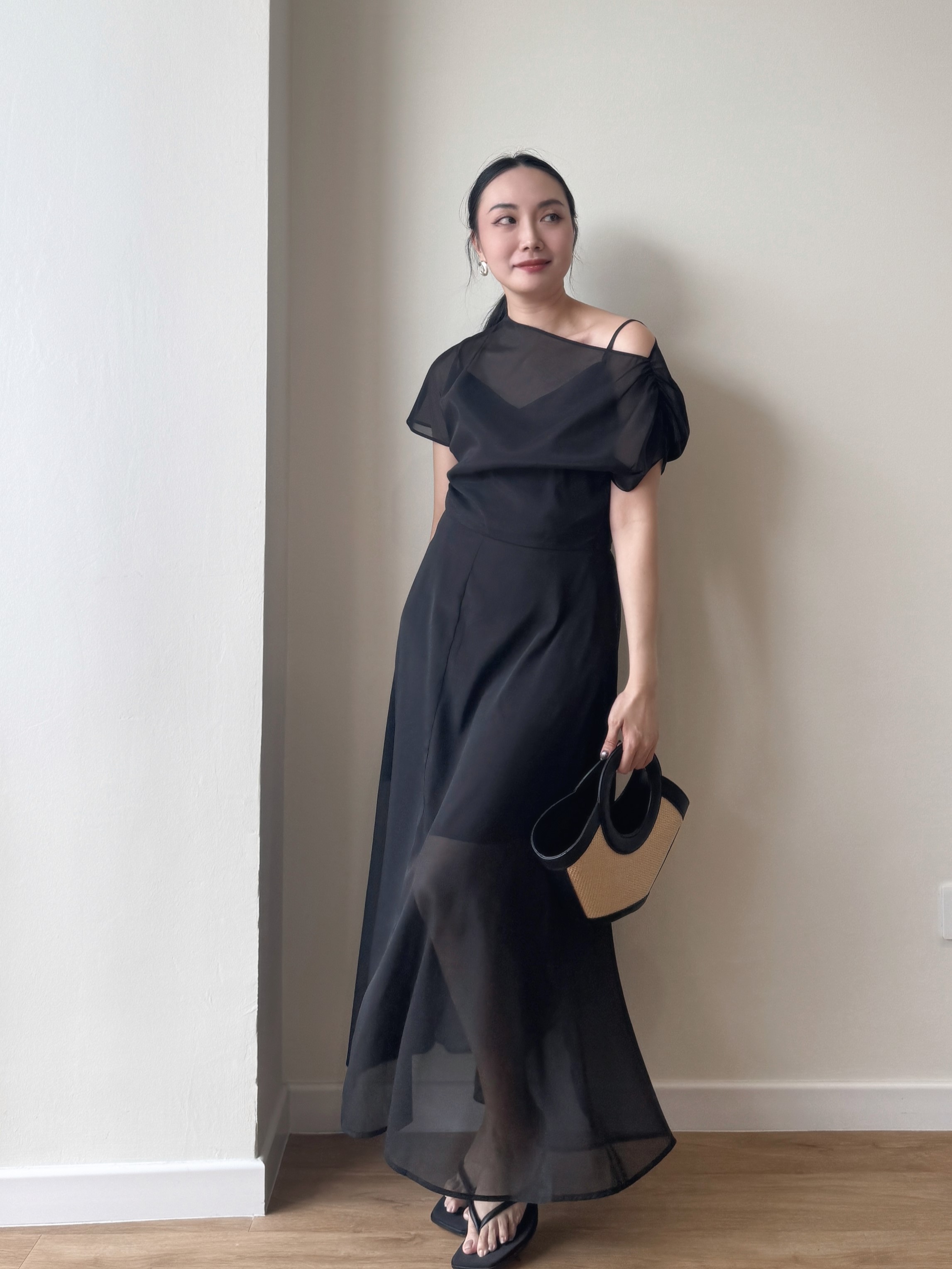 Vanyce Asymmetric Collar Two Piece Sheer Dress