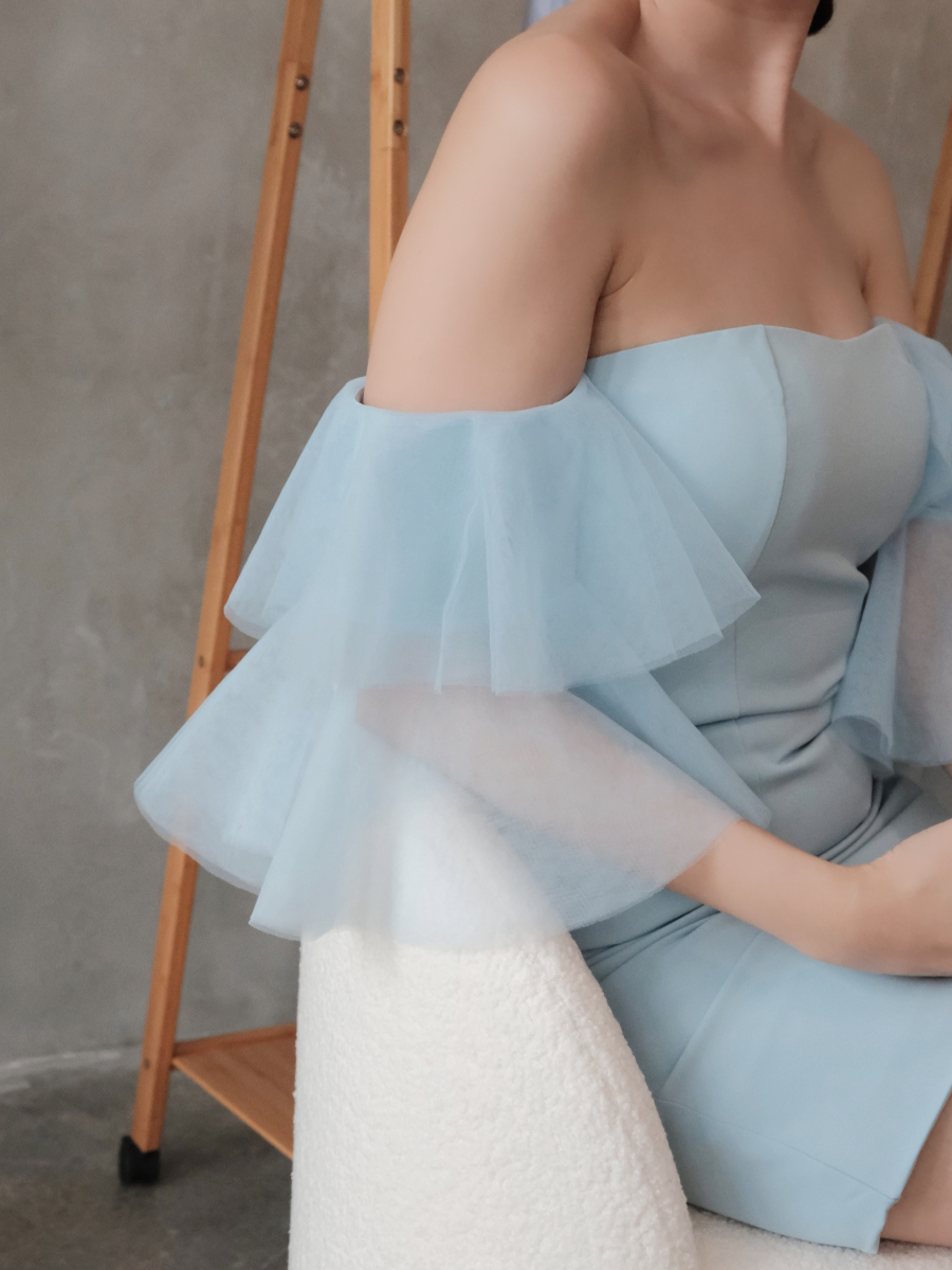 Tacey Layered Mesh Sleeve Dress-The Black Bow-