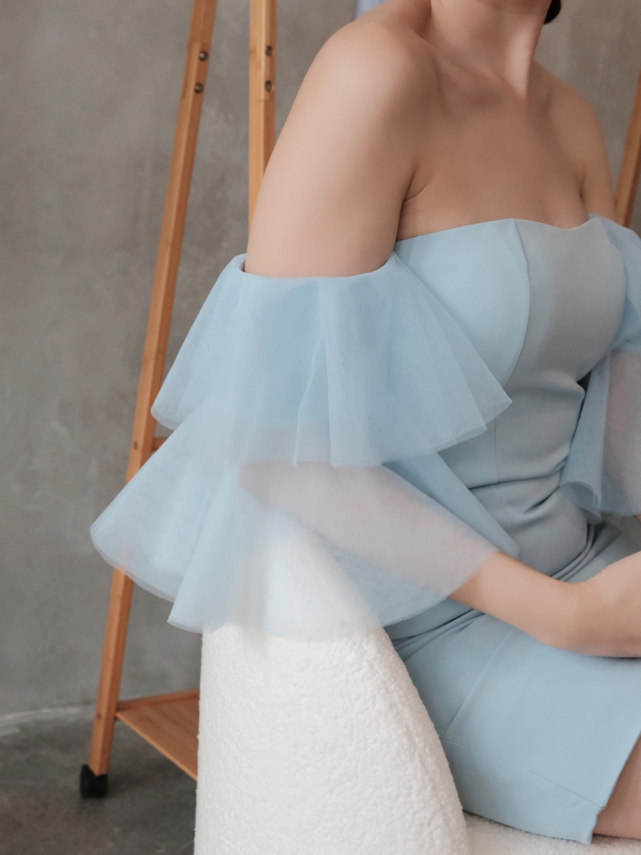 Tacey Layered Mesh Sleeve Dress-The Black Bow-