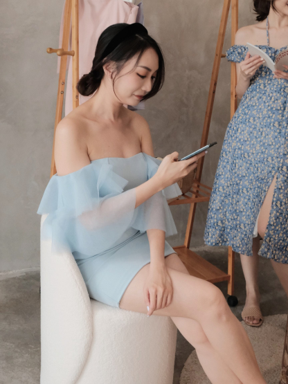 Tacey Layered Mesh Sleeve Dress-The Black Bow-