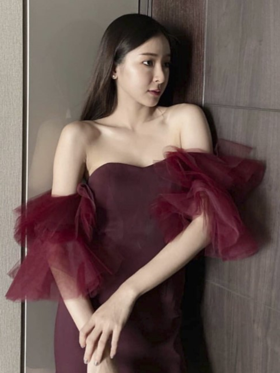 Tacey Layered Mesh Sleeve Dress-The Black Bow-